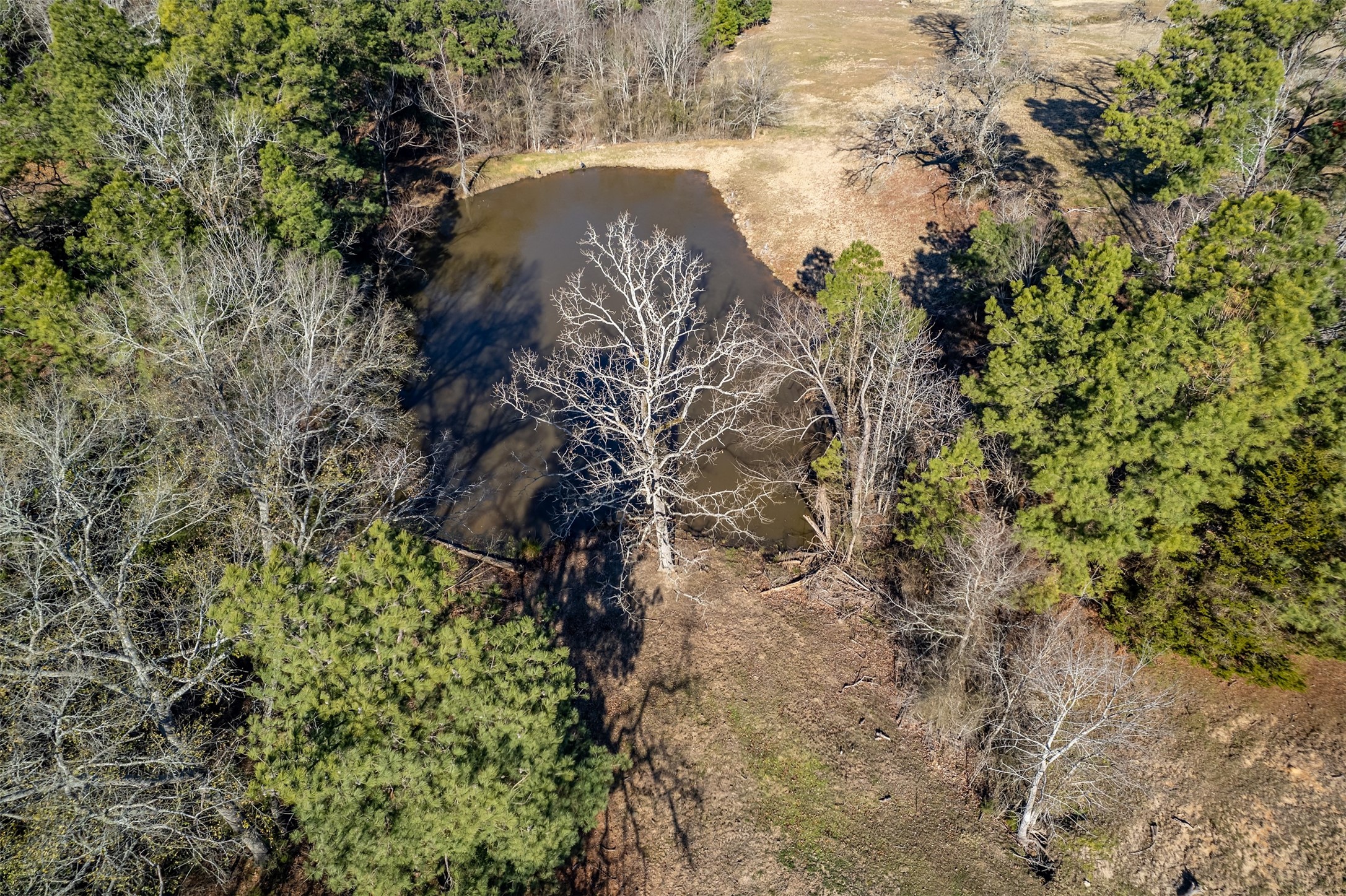 8912 W State Highway 294