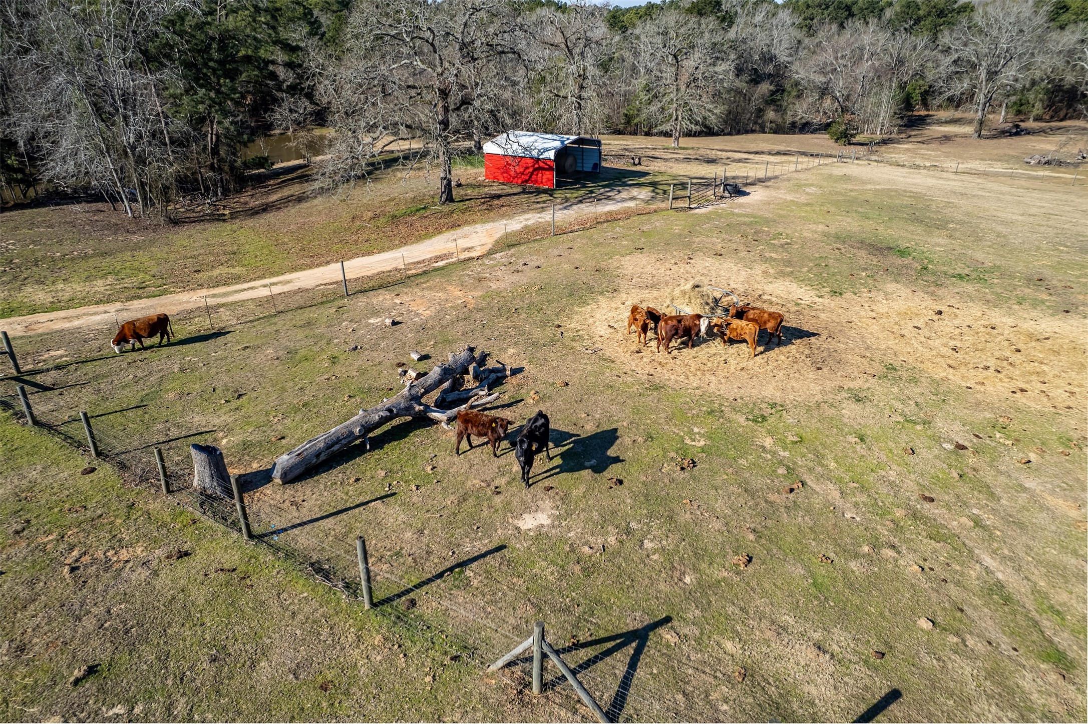 8912 W State Highway 294