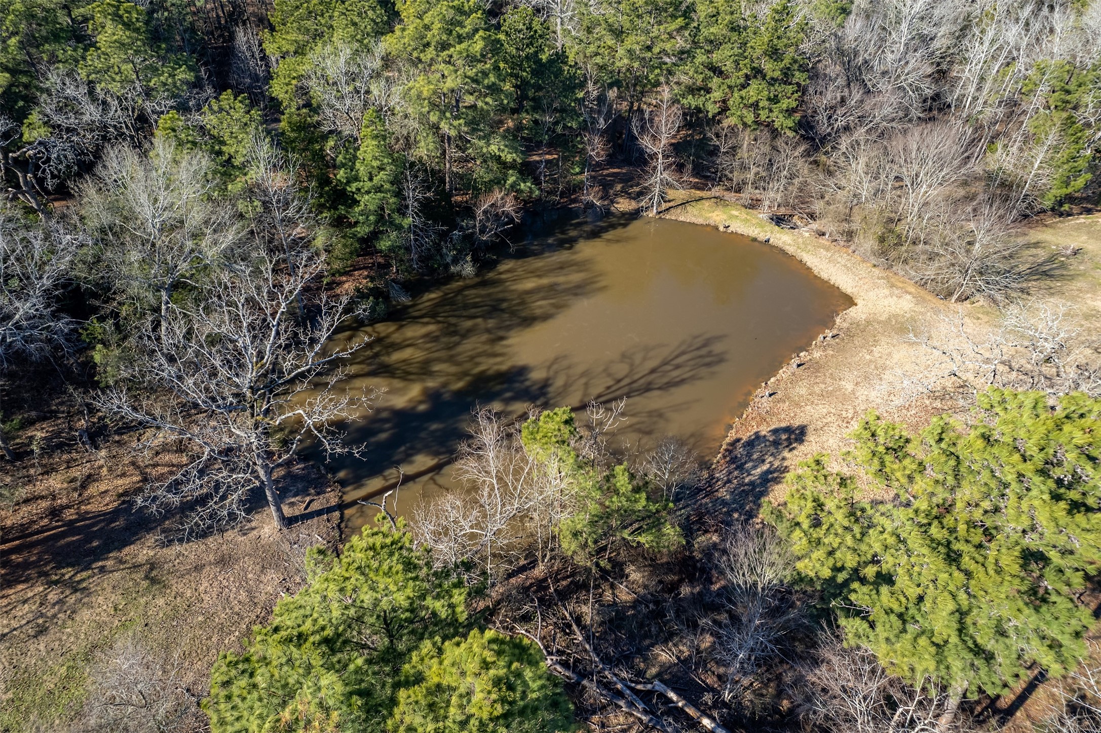 8912 W State Highway 294