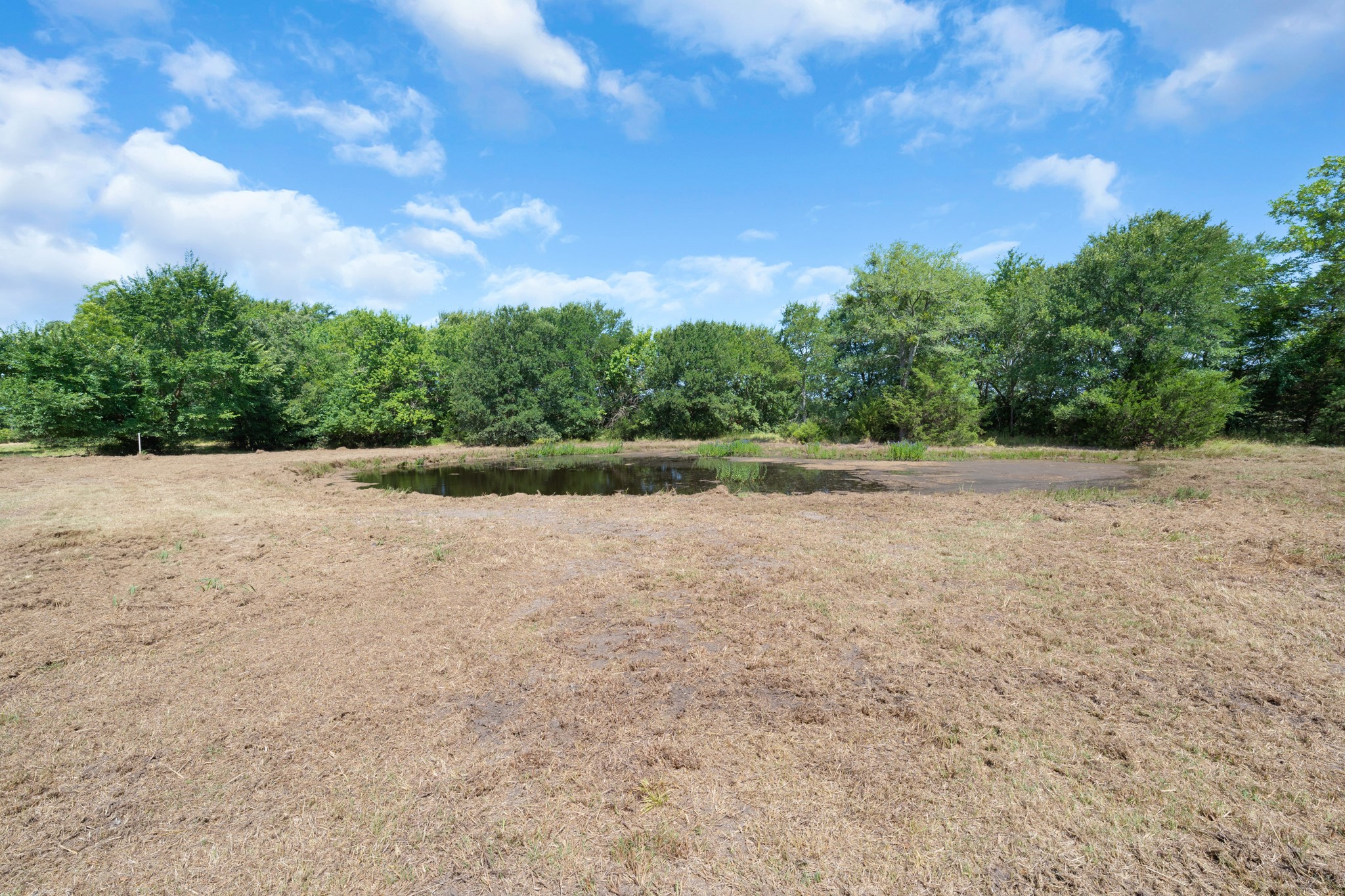 9051 State Highway 224