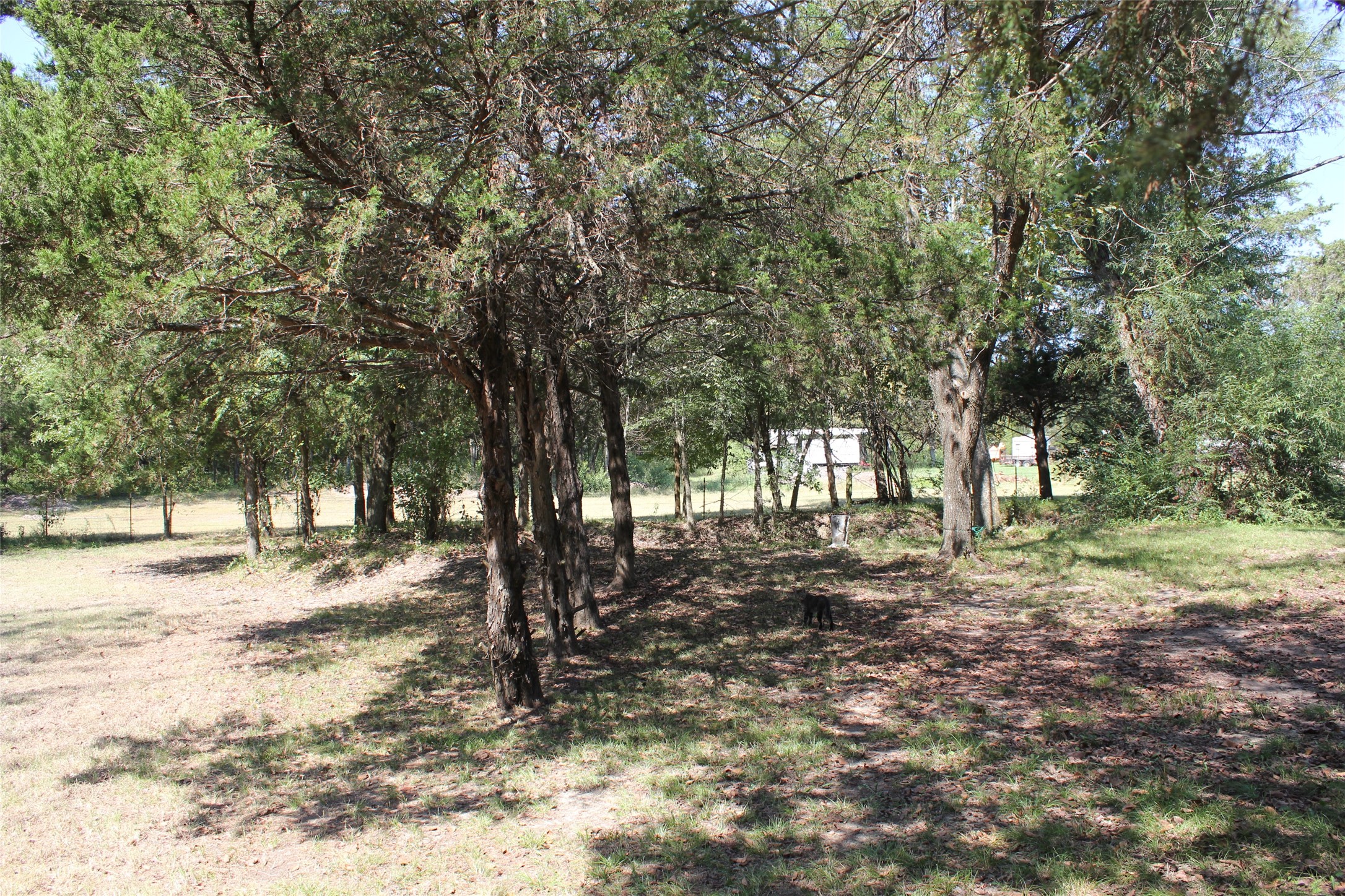 12608 Valverde Loop