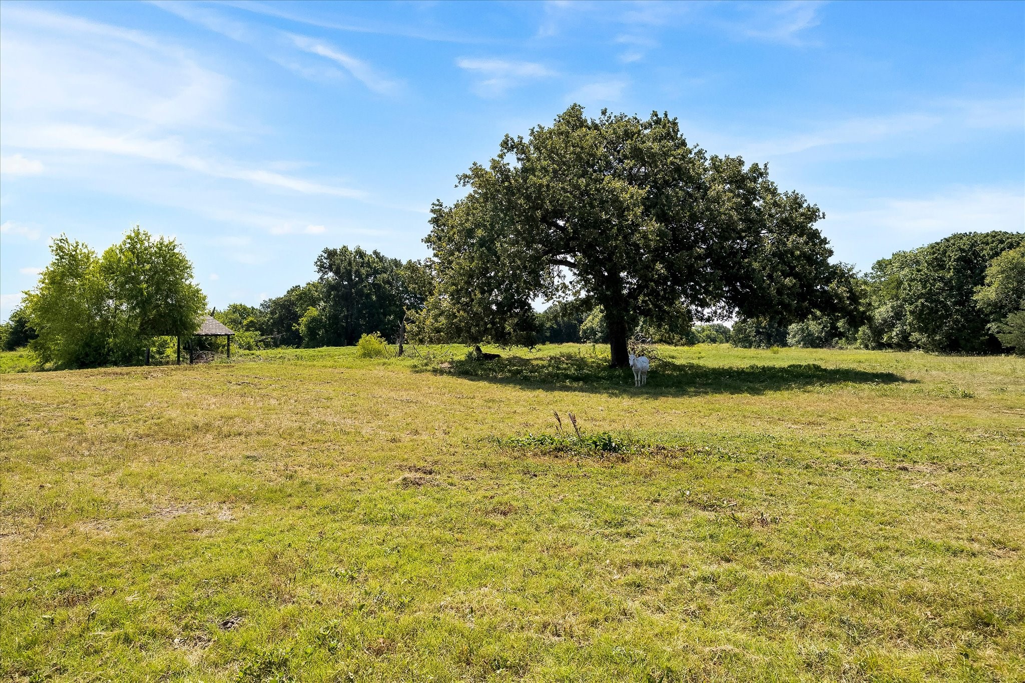 5848 County Road 283