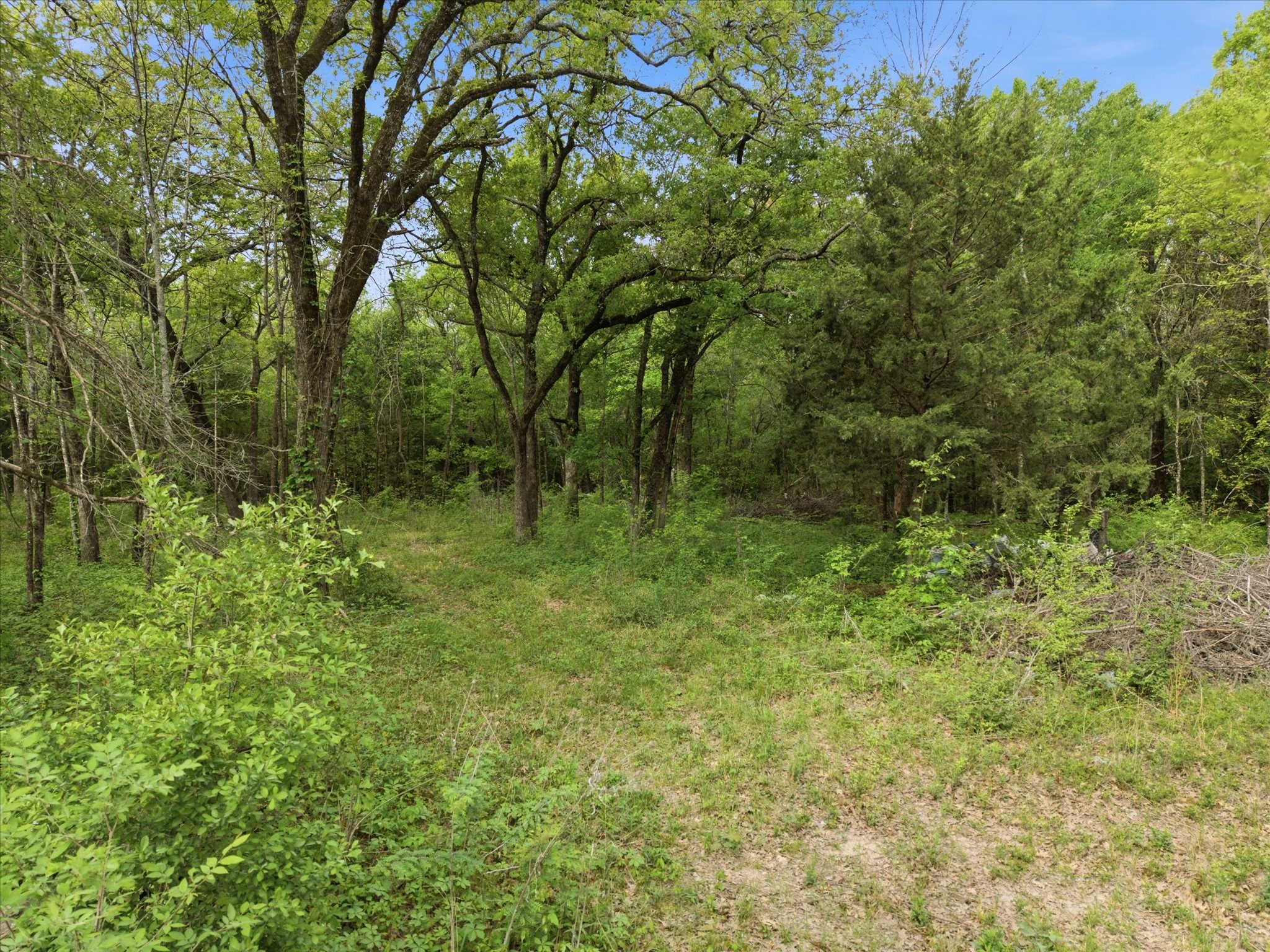 637 VZ County Road 3437