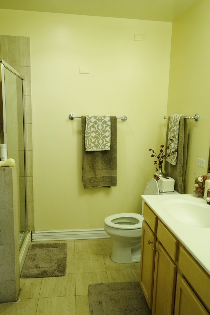 828 W GRACE Street Unit: 1503