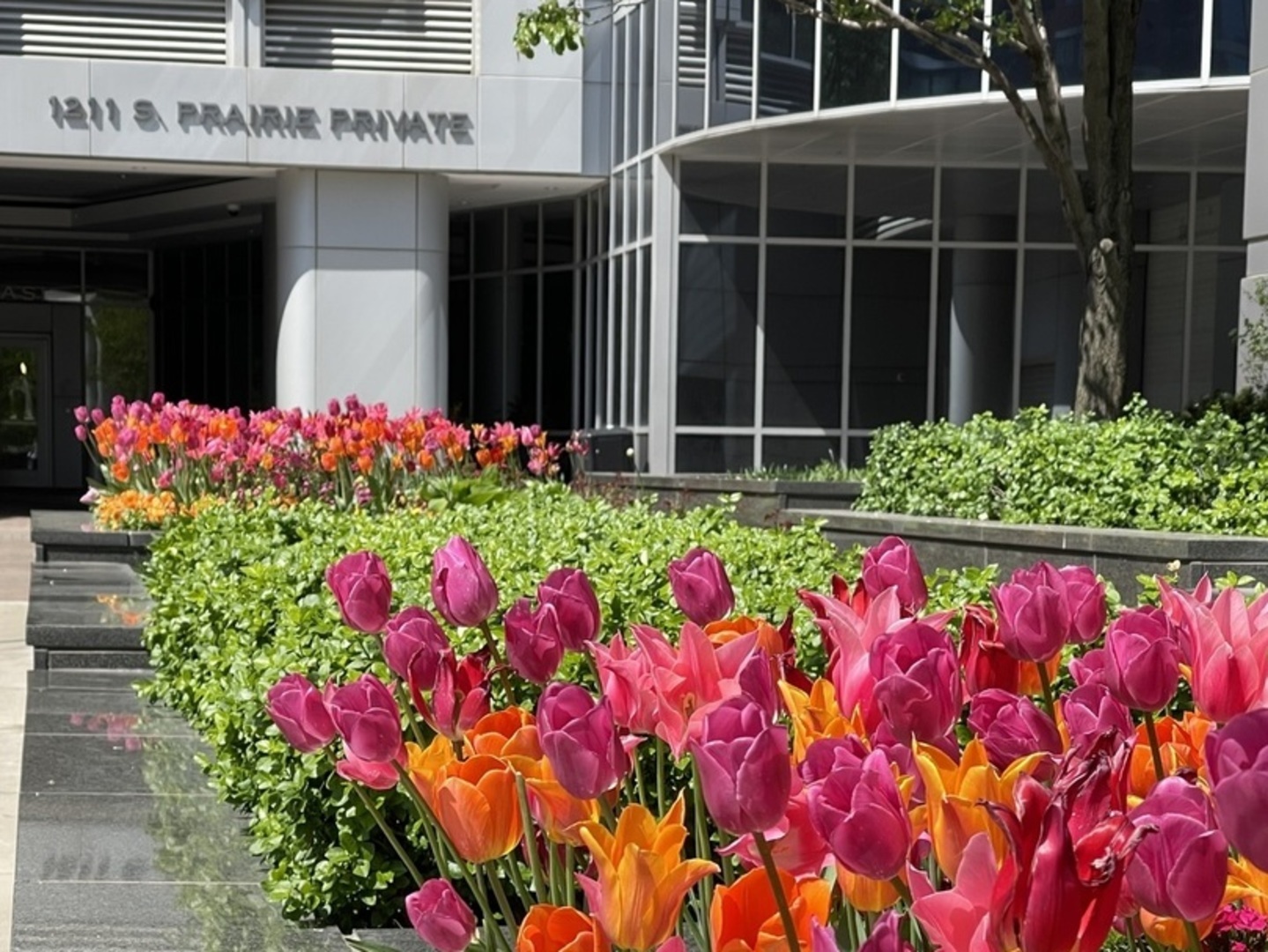 1211 S Prairie Avenue Unit: 3906