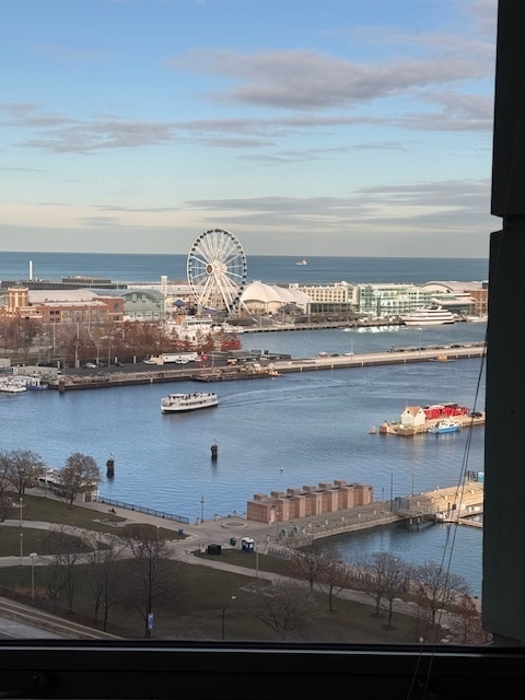 195 N Harbor Drive Unit: 1301