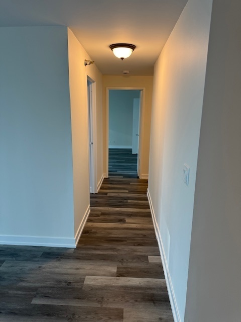 195 N Harbor Drive Unit: 1301