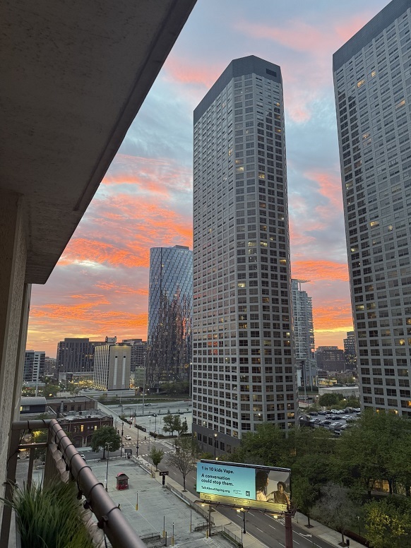 125 S Jefferson Street Unit: 1103