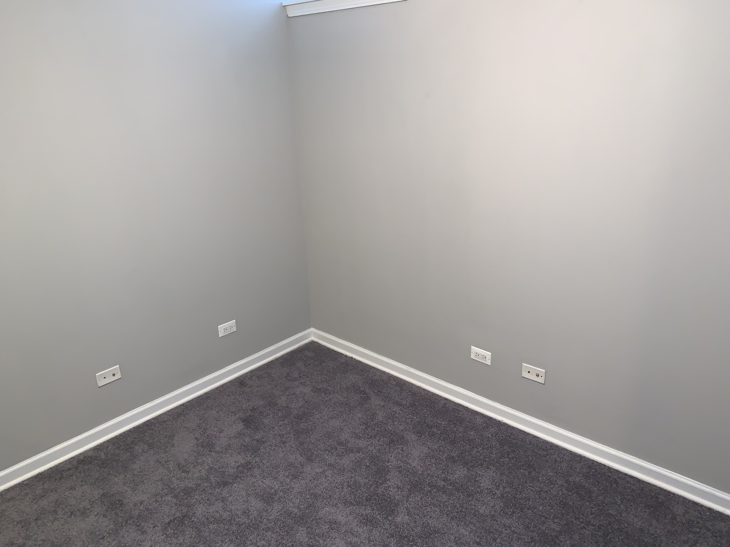 2717 N Halsted Street Unit: 1F