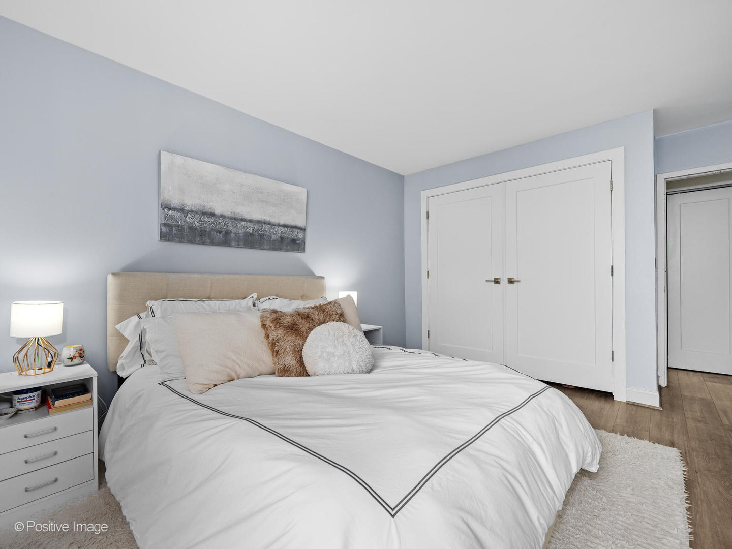 1460 N Sandburg Terrace Unit: 1703