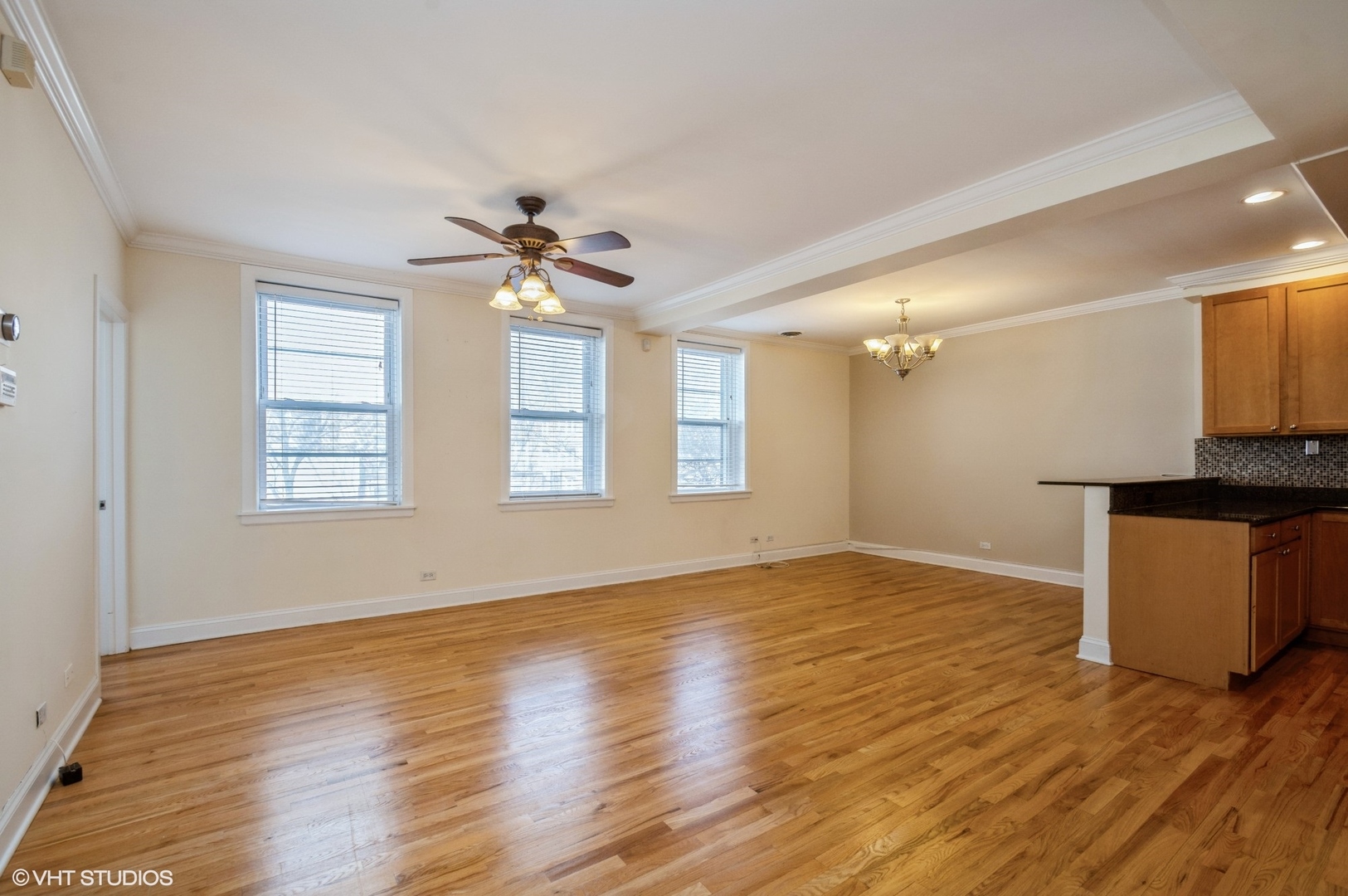 4117 N Sheridan Road Unit: 1N