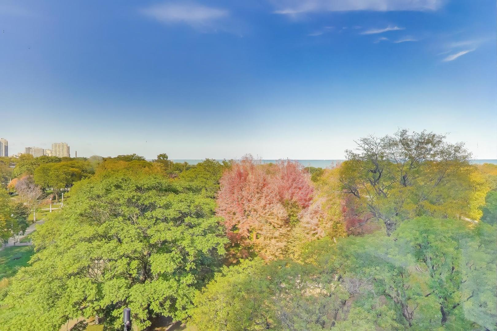 1555 N Dearborn Parkway Unit: 7E