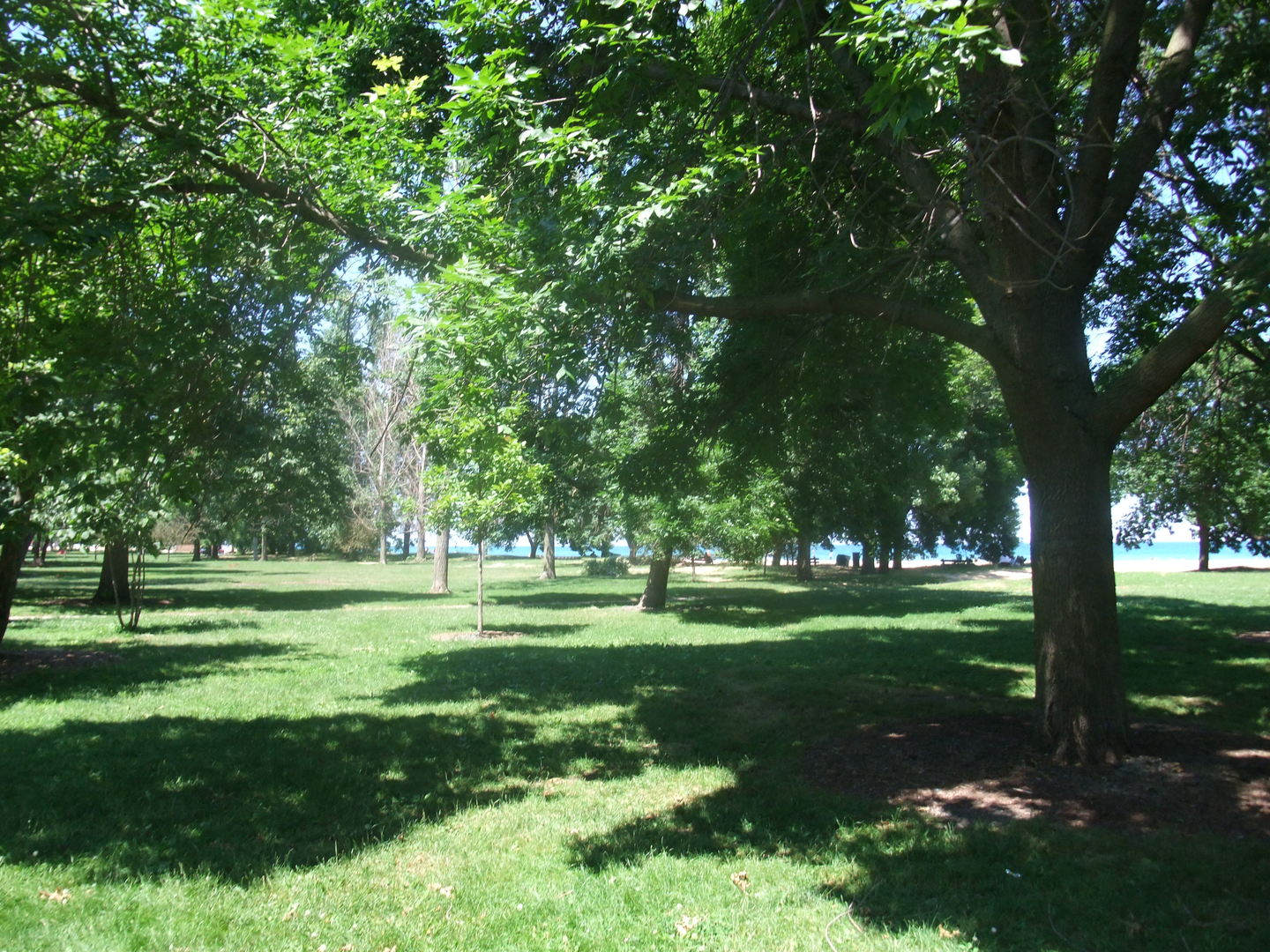 1236 W FARWELL Avenue Unit: 1B