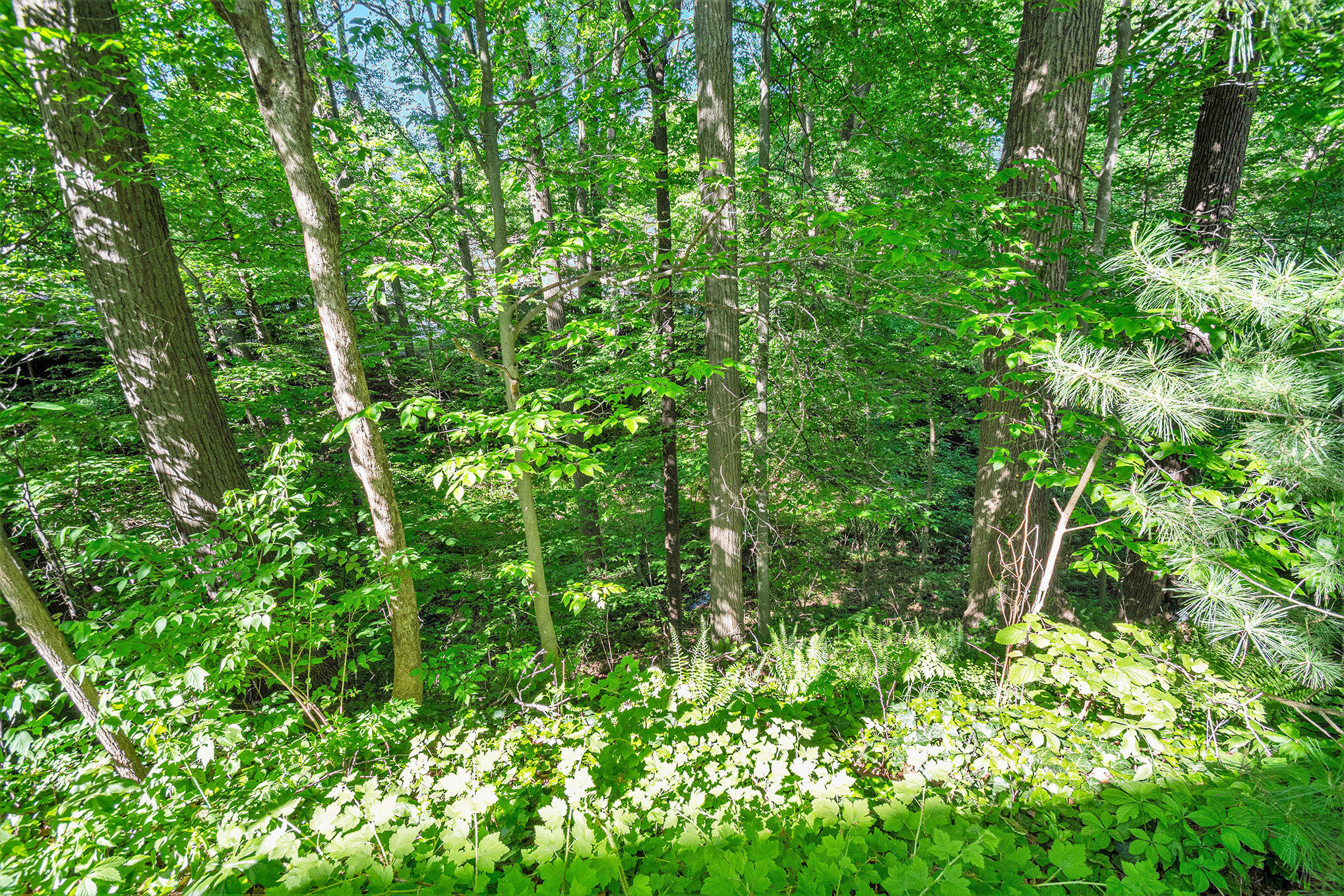 391 Arbor Ridge