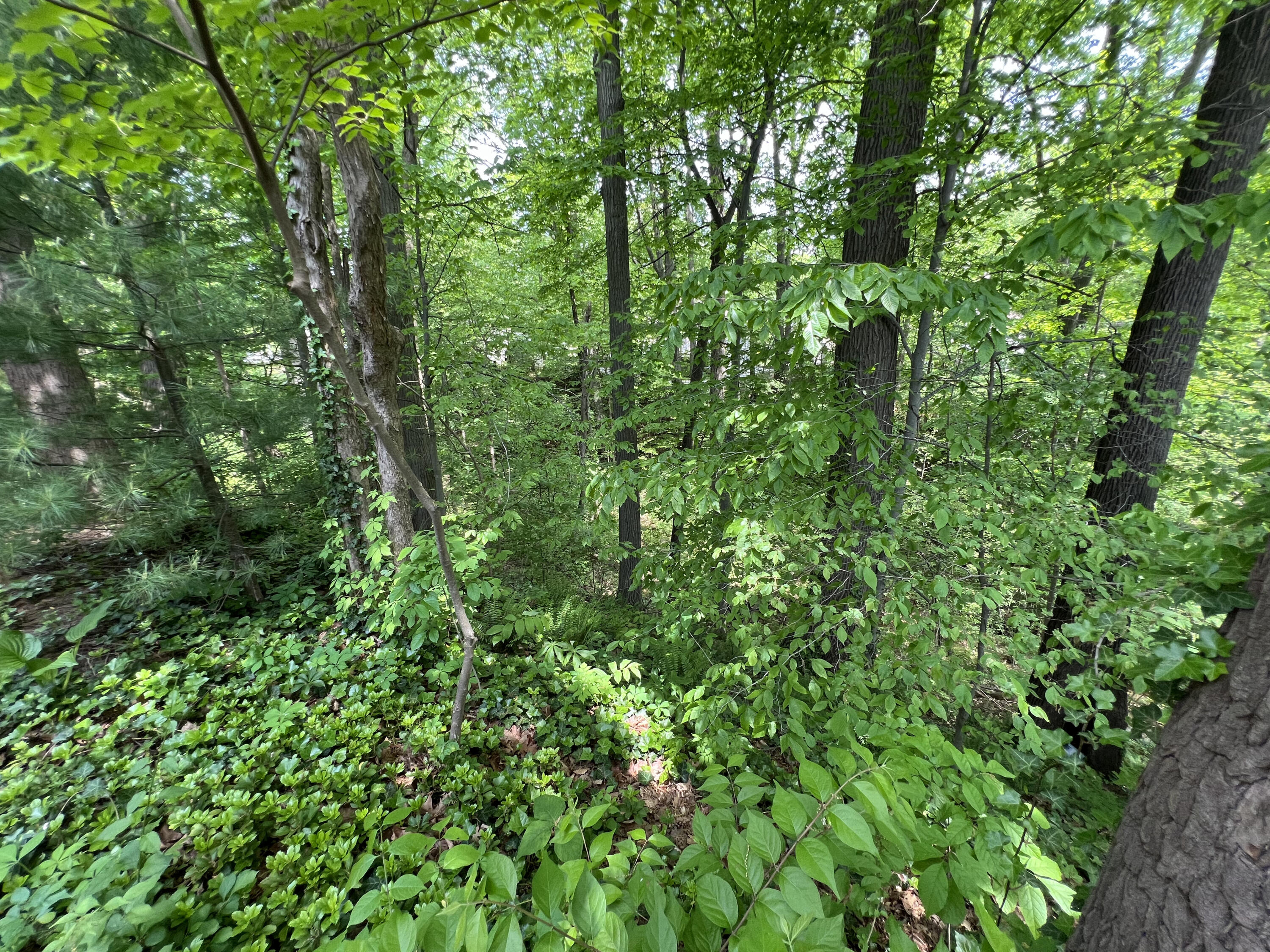 391 Arbor Ridge