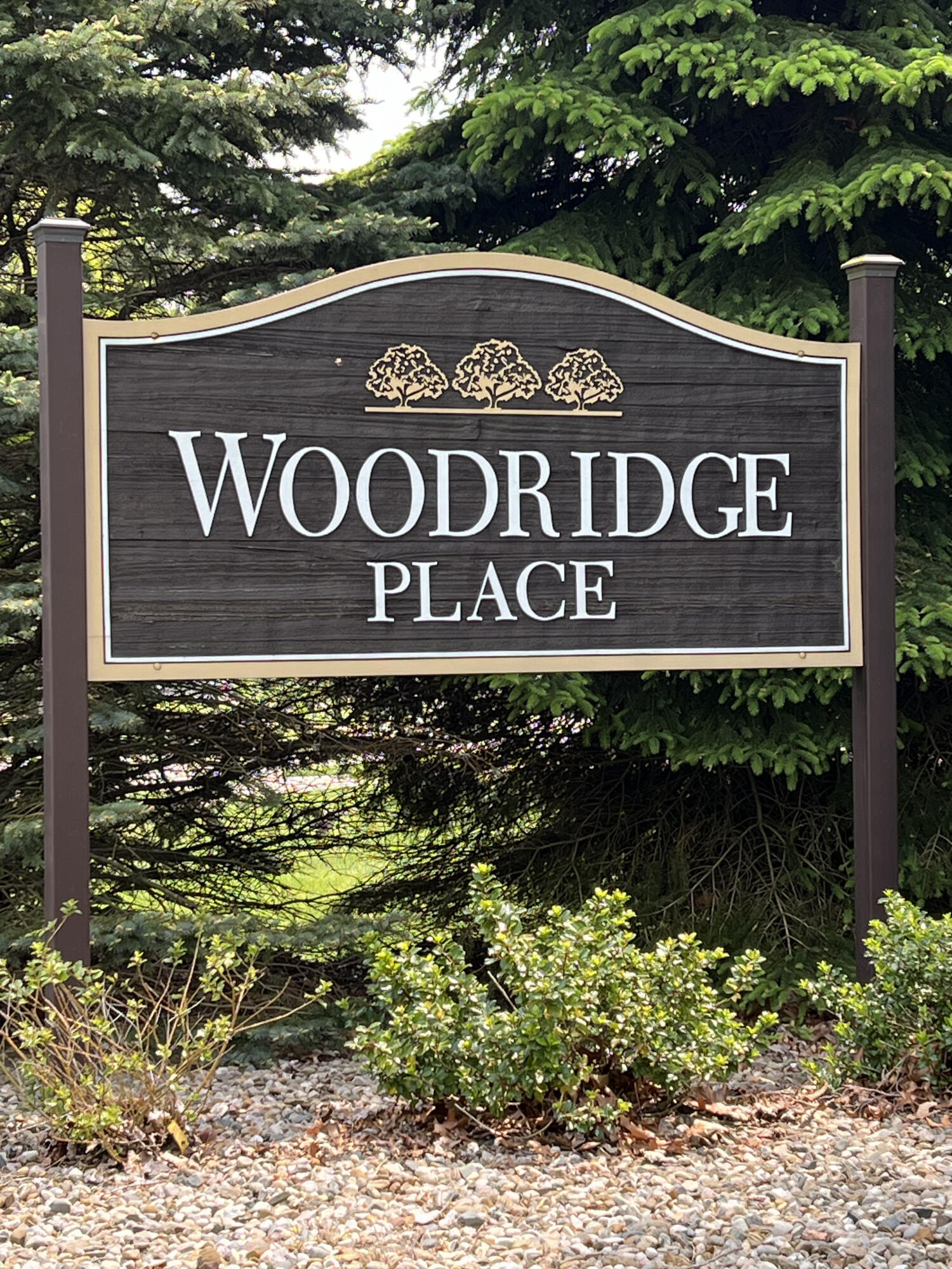 391 Arbor Ridge