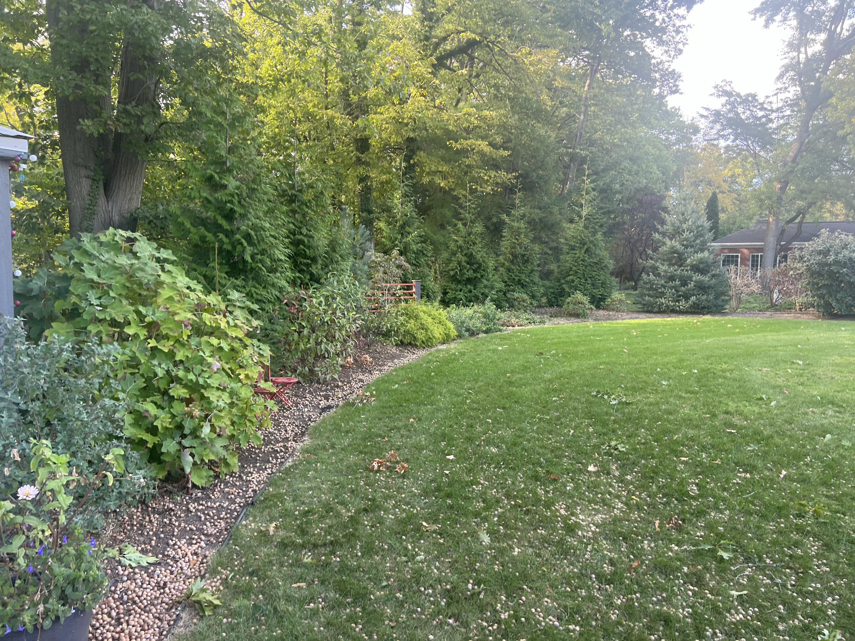 2110 Morton Avenue, St. Joseph