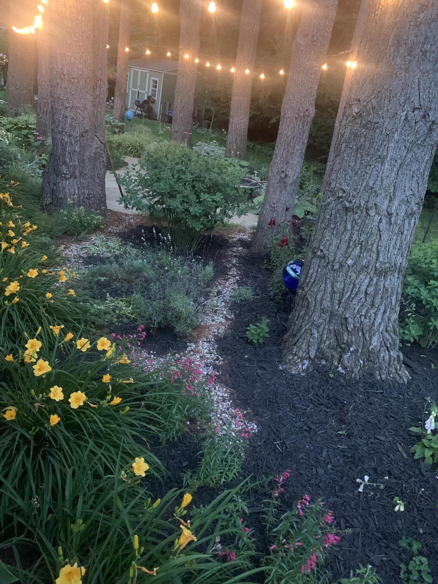 1936 Hidden Pines Trail