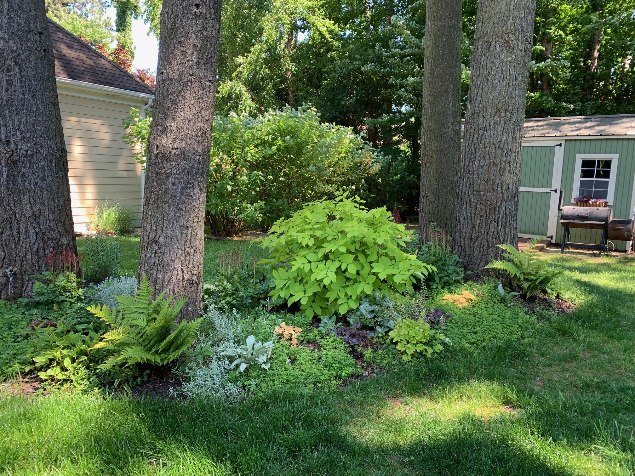 1936 Hidden Pines Trail