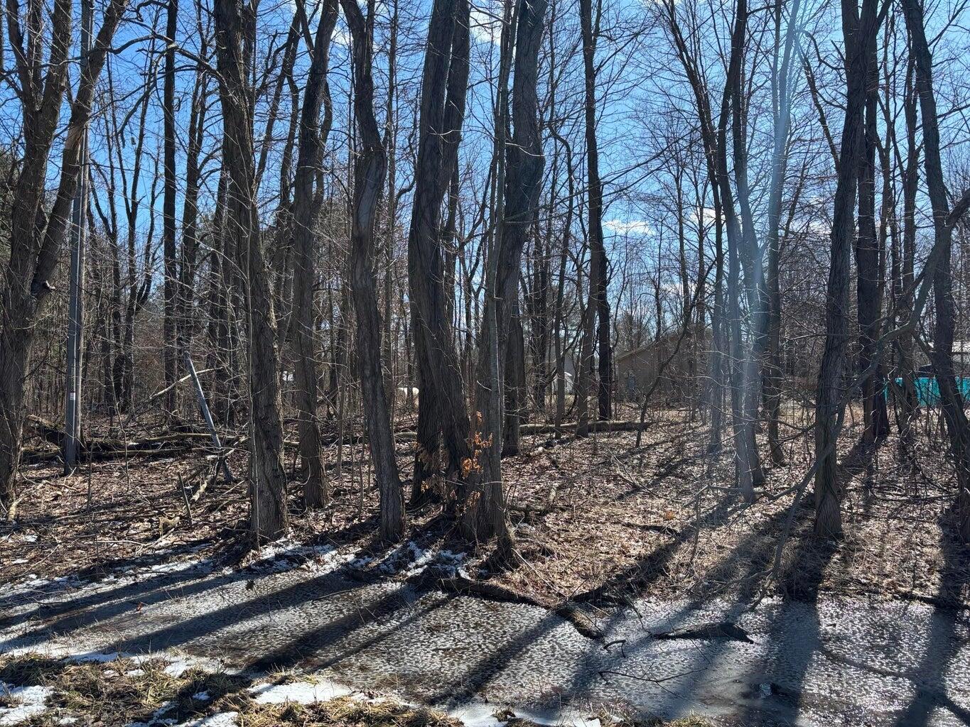 47254 Flagler Road