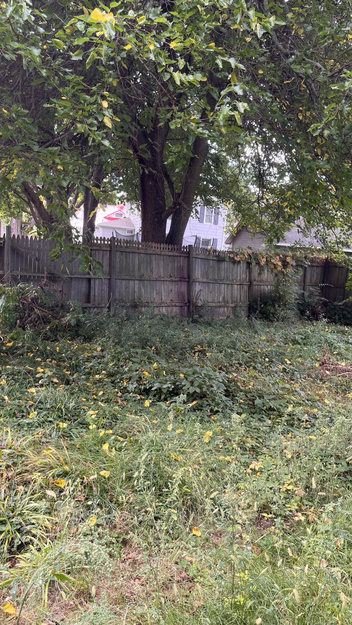 134 S Paw Paw Street
