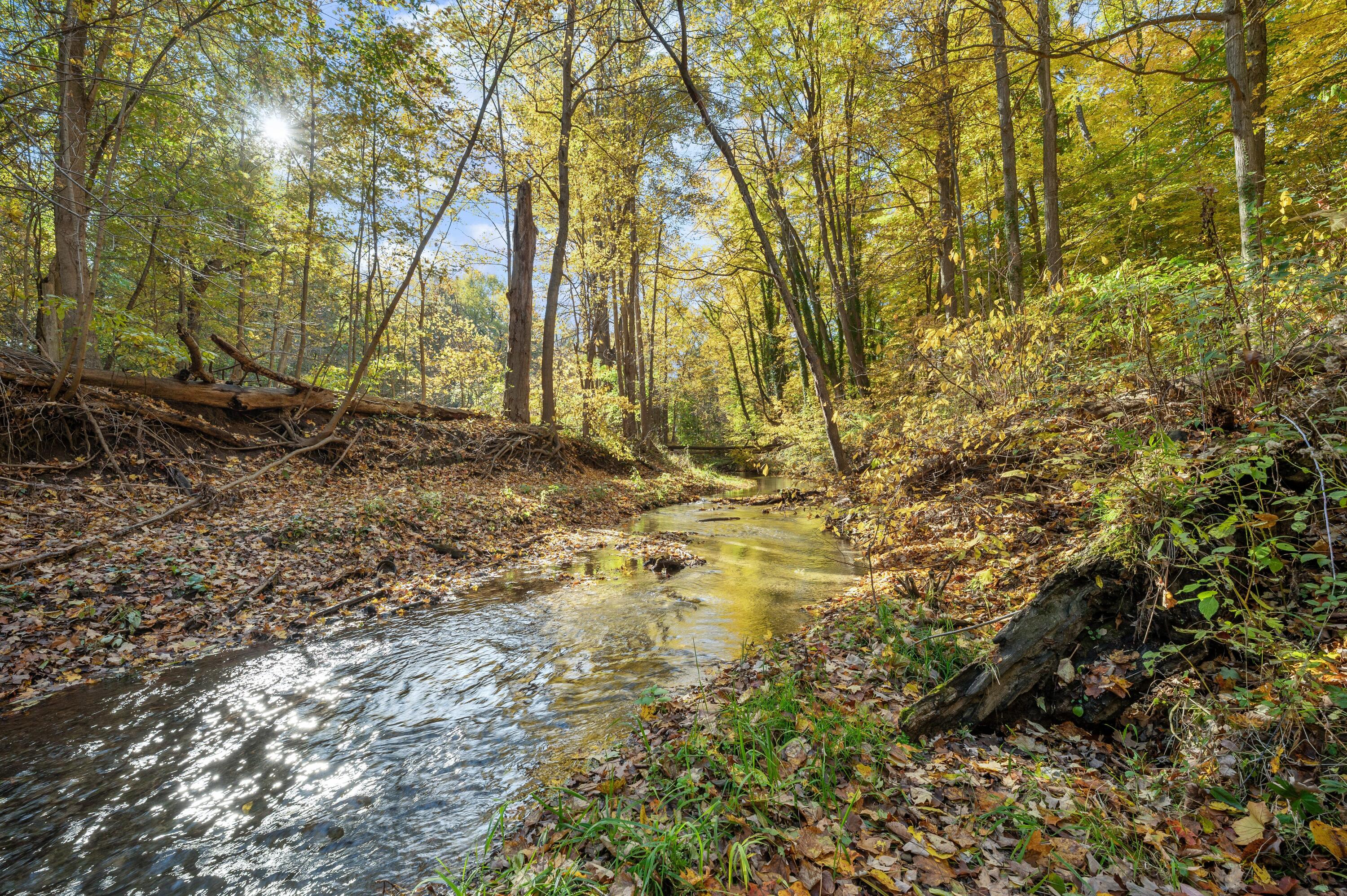 4747 Woodland Drive, St. Joseph