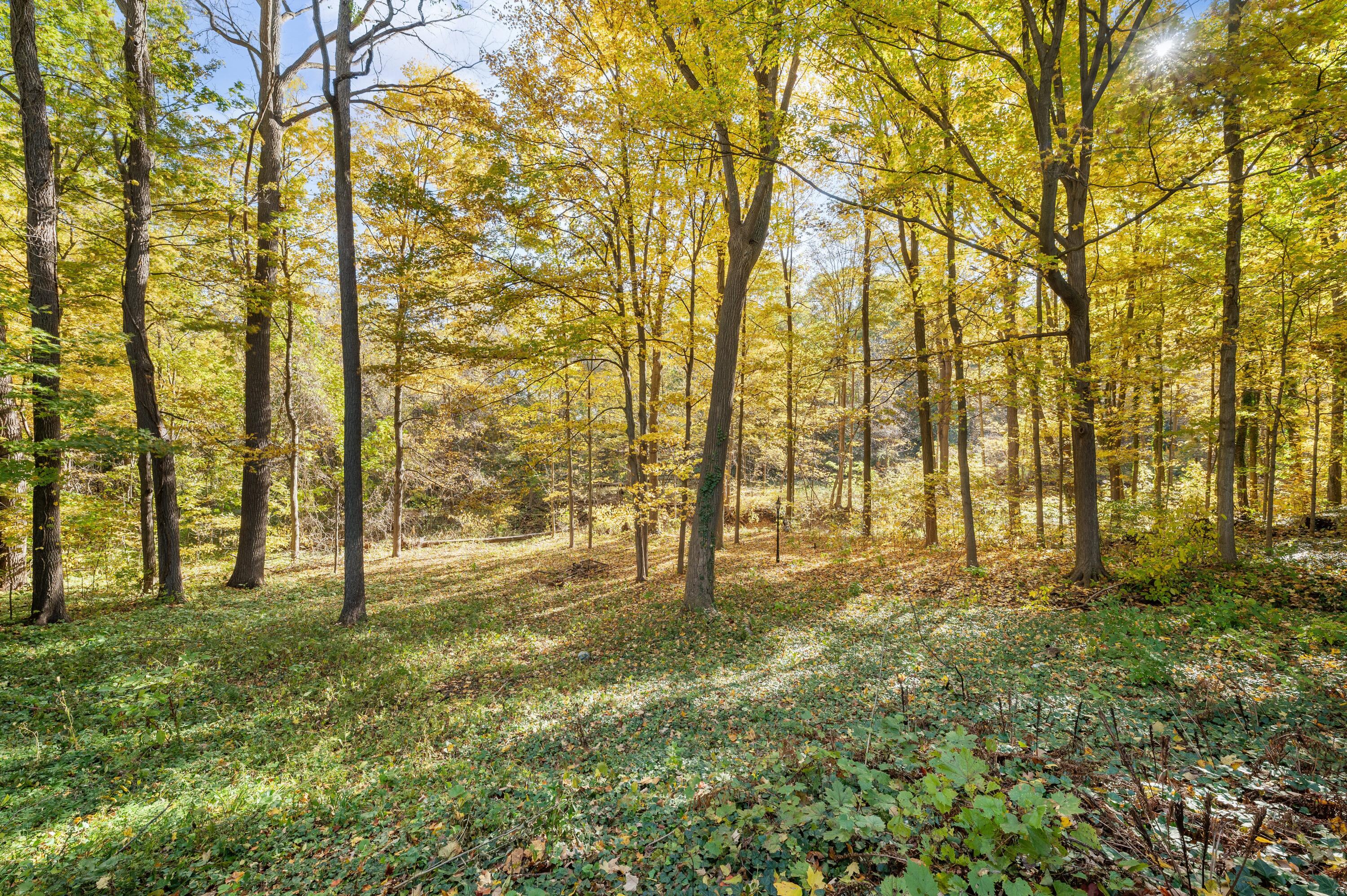 4747 Woodland Drive, St. Joseph