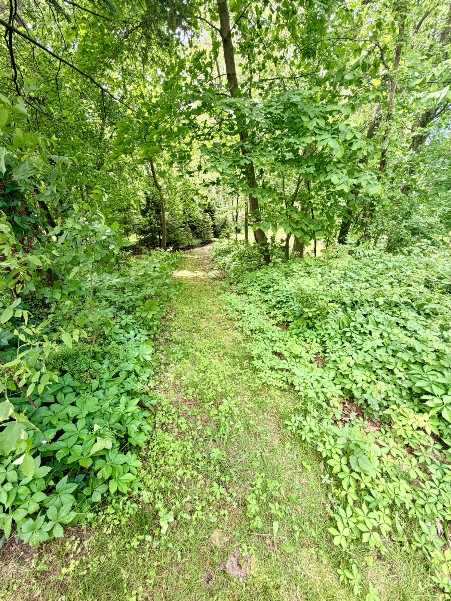 1346 W Marquette Woods Road, St. Joseph
