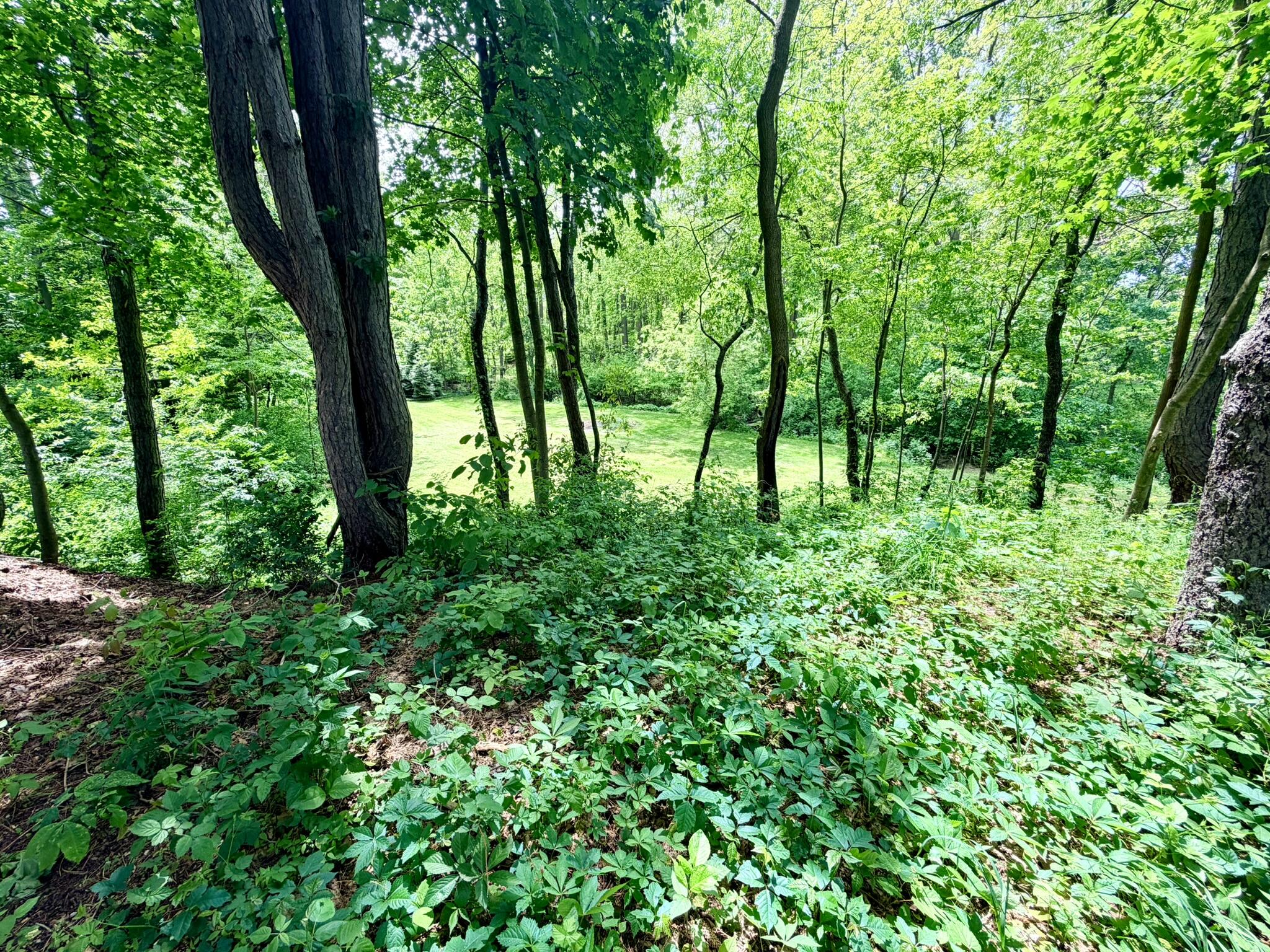 1346 W Marquette Woods Road, St. Joseph