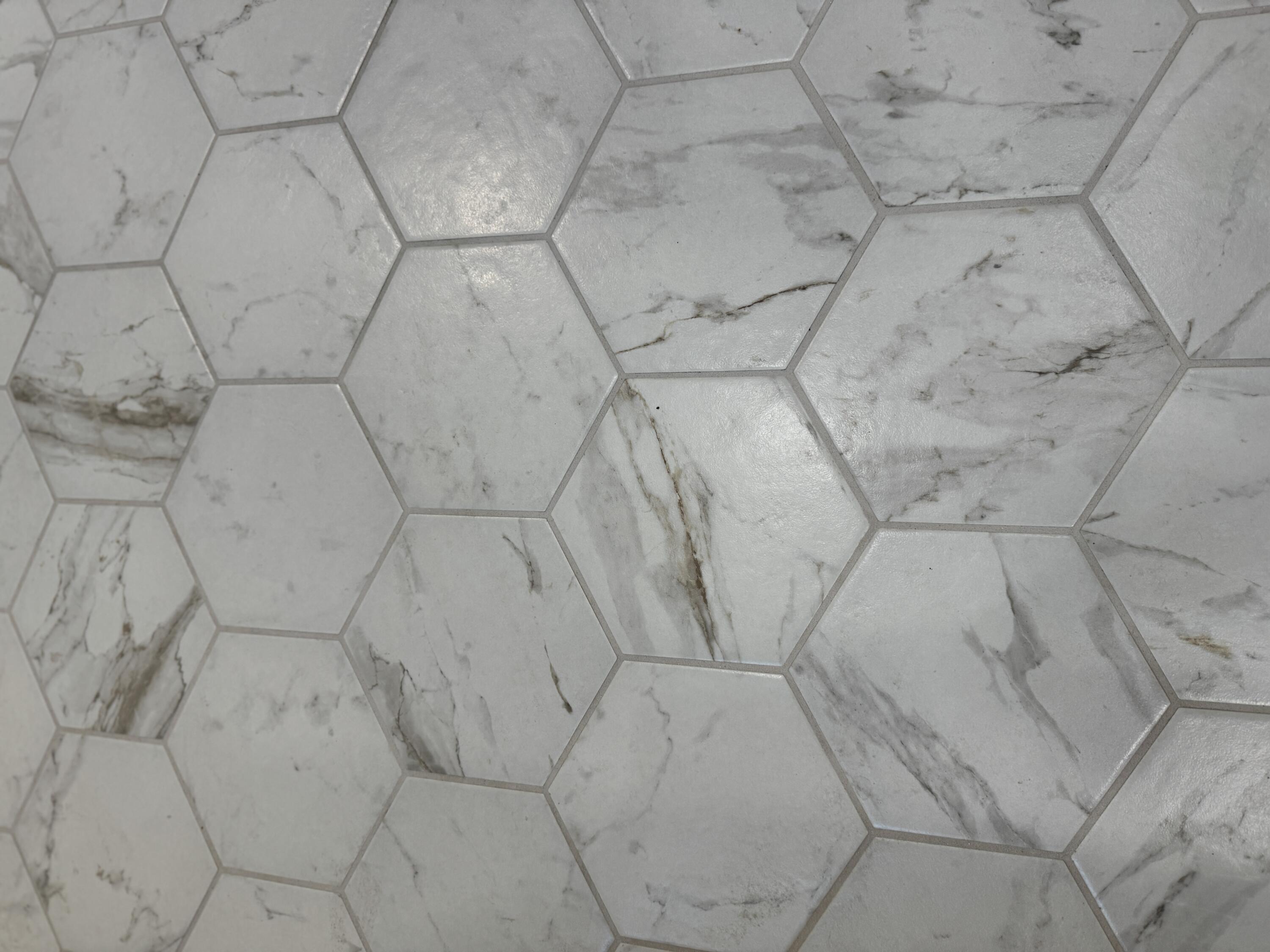 2450 Prairie Eagle Cir E