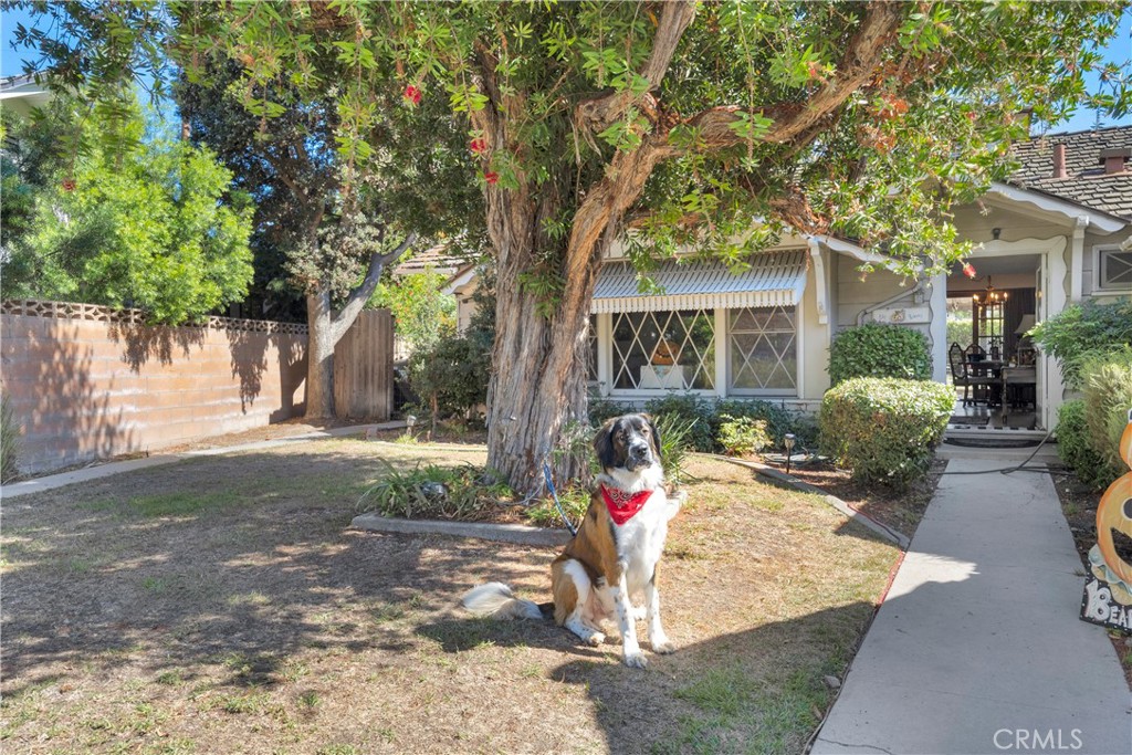 3162 Inverness Drive