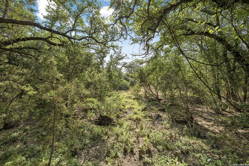 Tract 18-26 Seewald Rd # 18