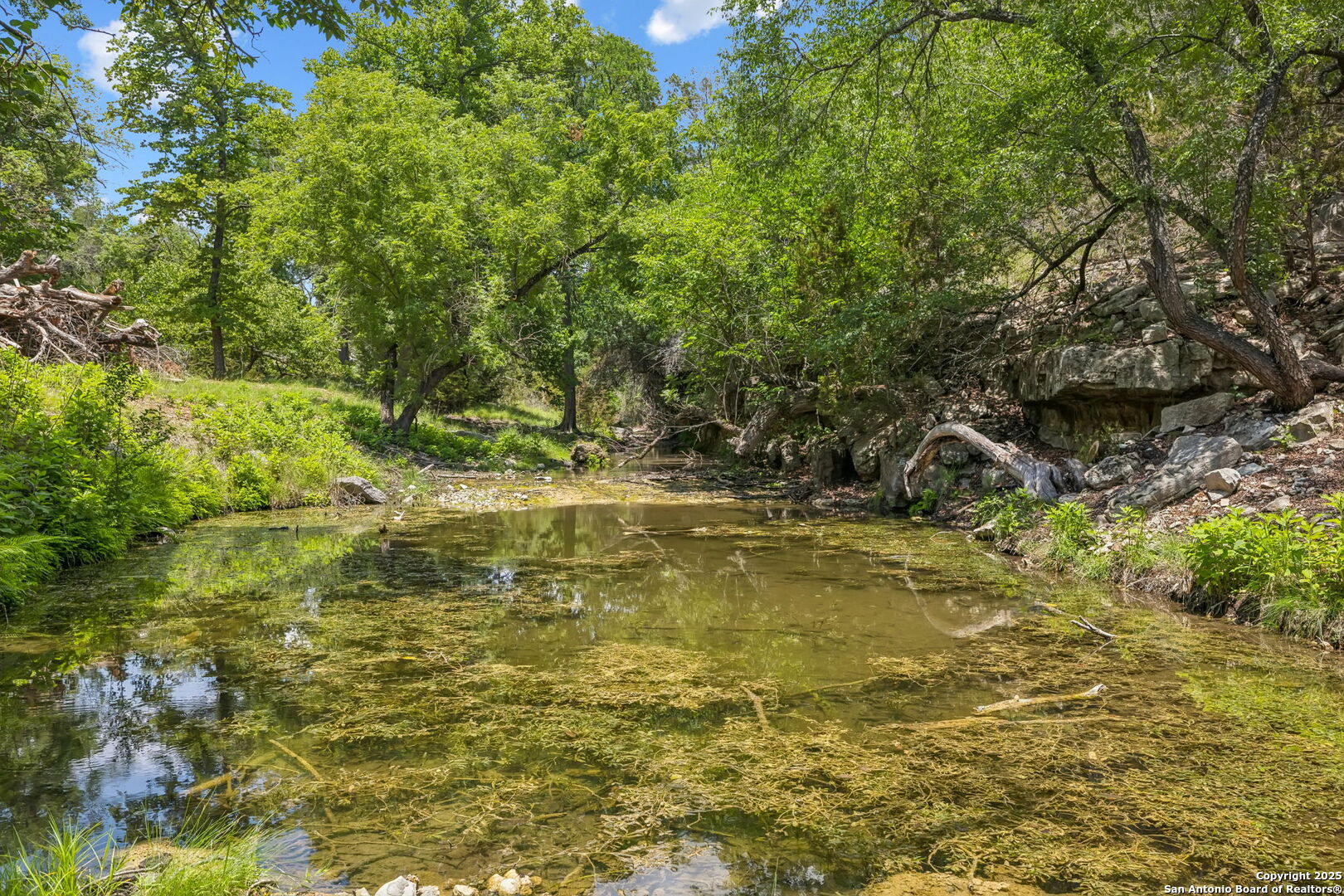 000 Pietra Springs Road