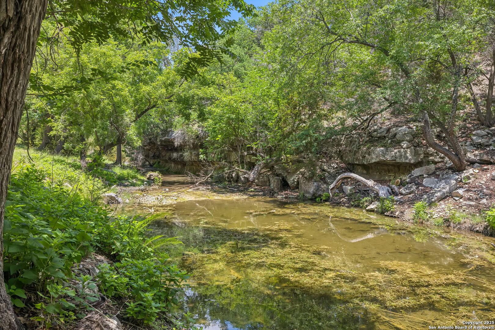 000 Pietra Springs Road
