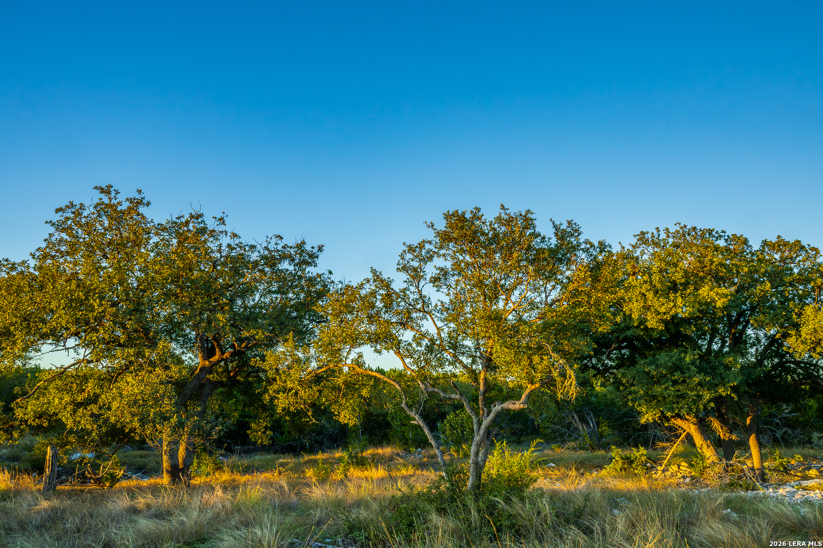 Blind Turkey Ranch- 913 GREENWOOD VALLEY RANCH RD
