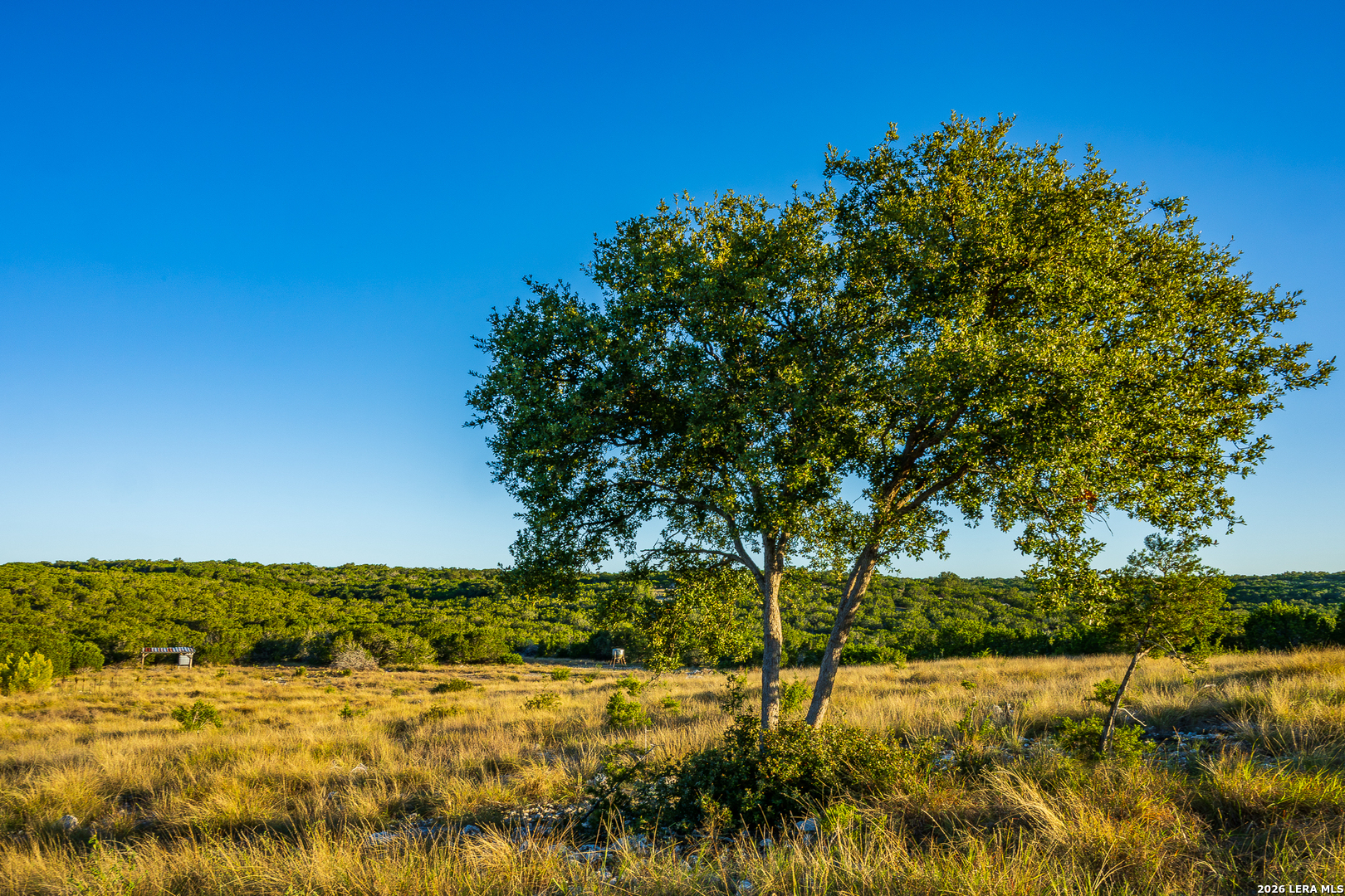 Blind Turkey Ranch- 913 GREENWOOD VALLEY RANCH RD