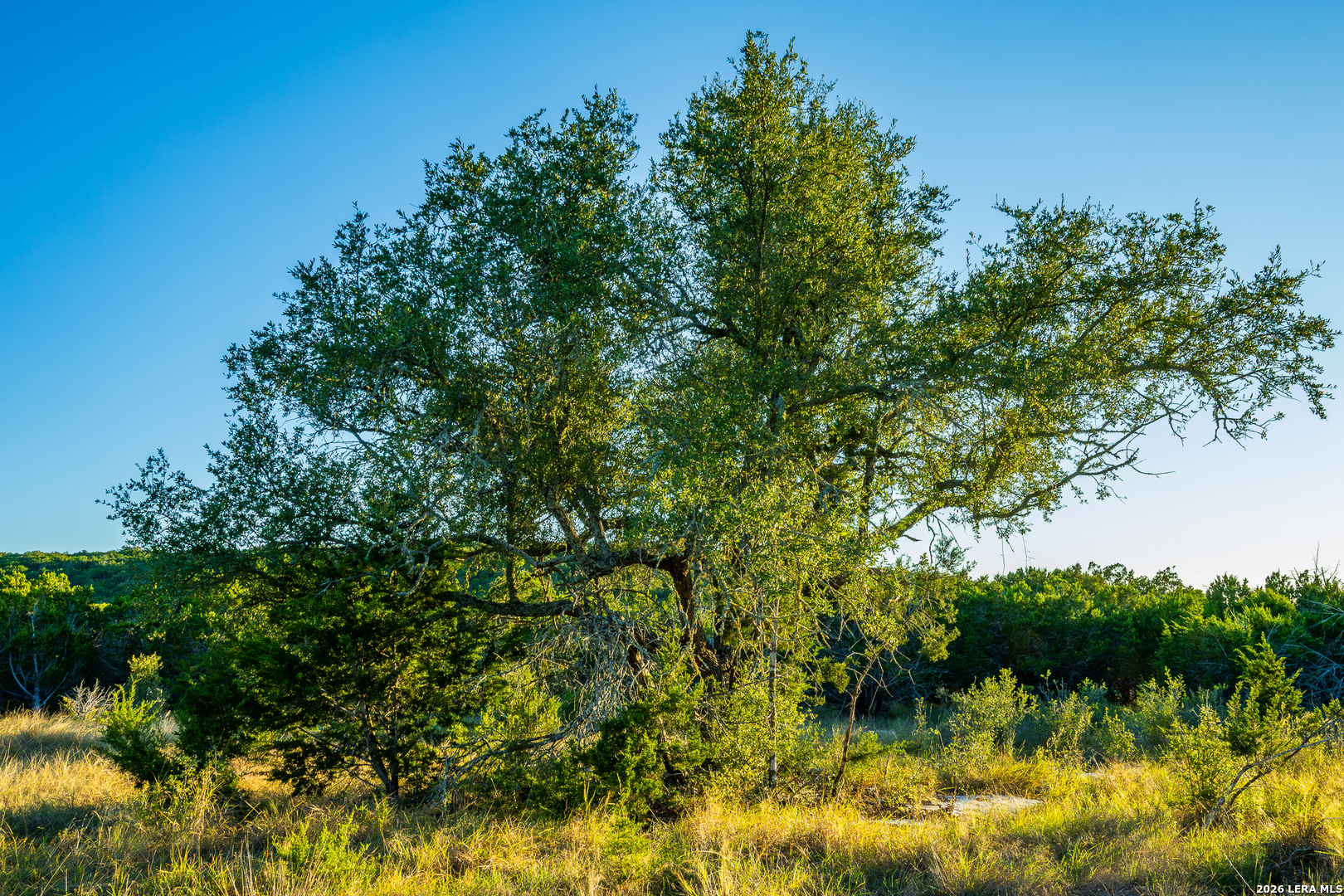 Blind Turkey Ranch- 913 GREENWOOD VALLEY RANCH RD