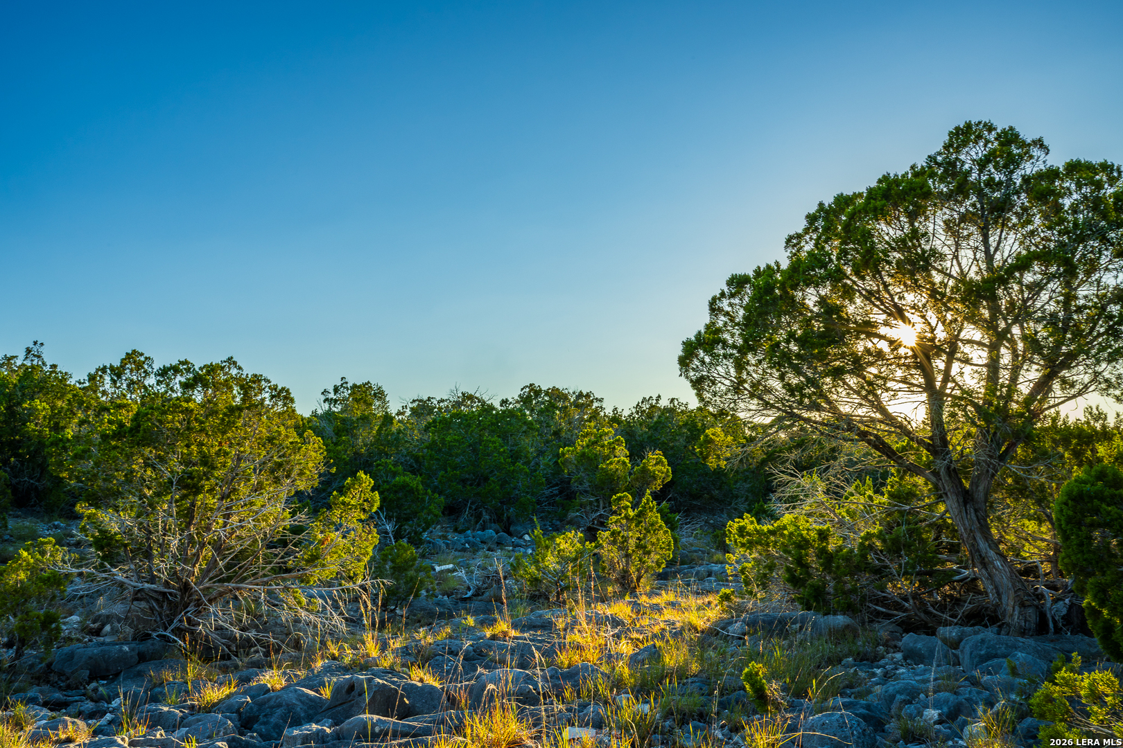 Blind Turkey Ranch- 913 GREENWOOD VALLEY RANCH RD