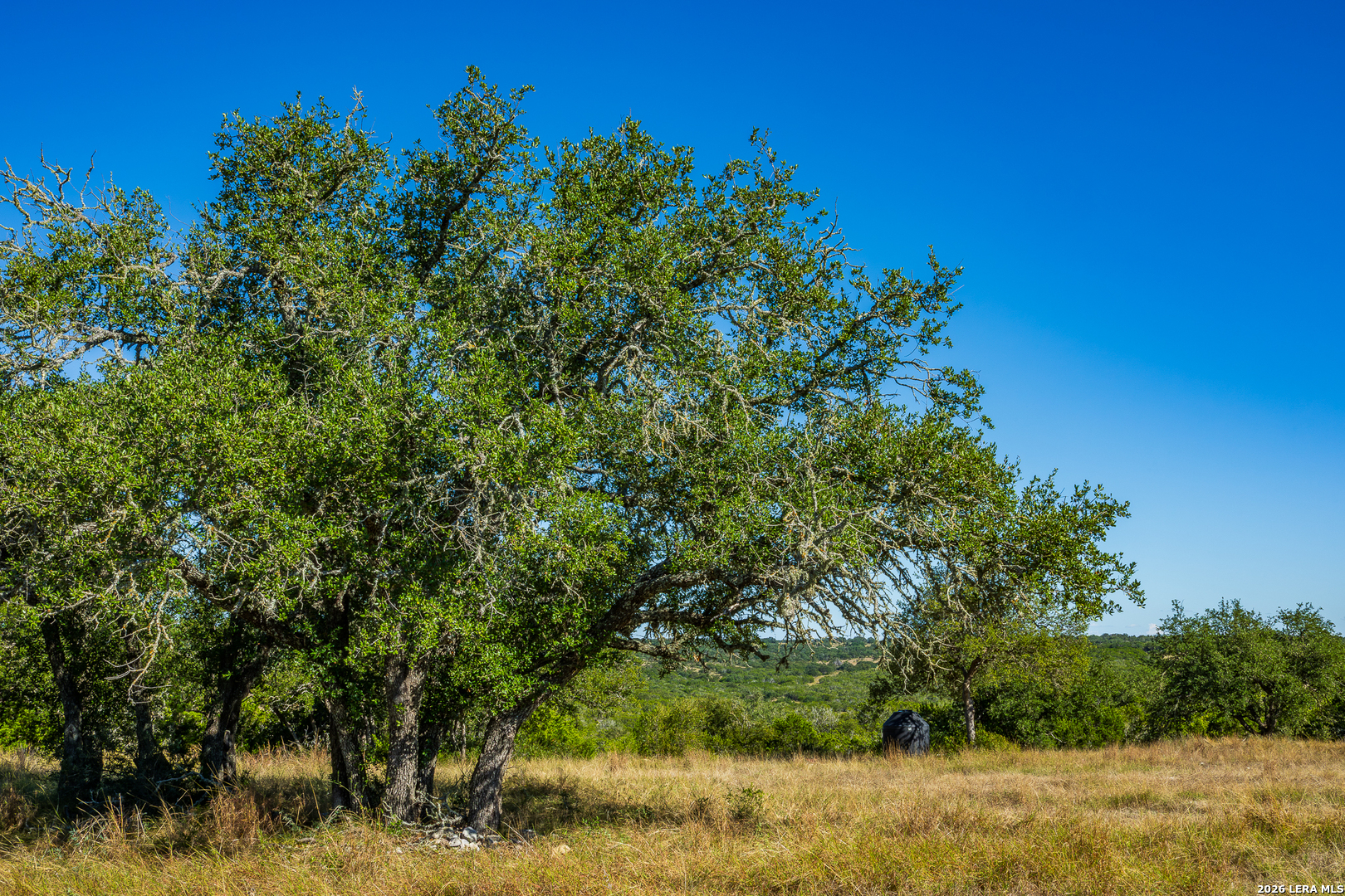 Blind Turkey Ranch- 913 GREENWOOD VALLEY RANCH RD