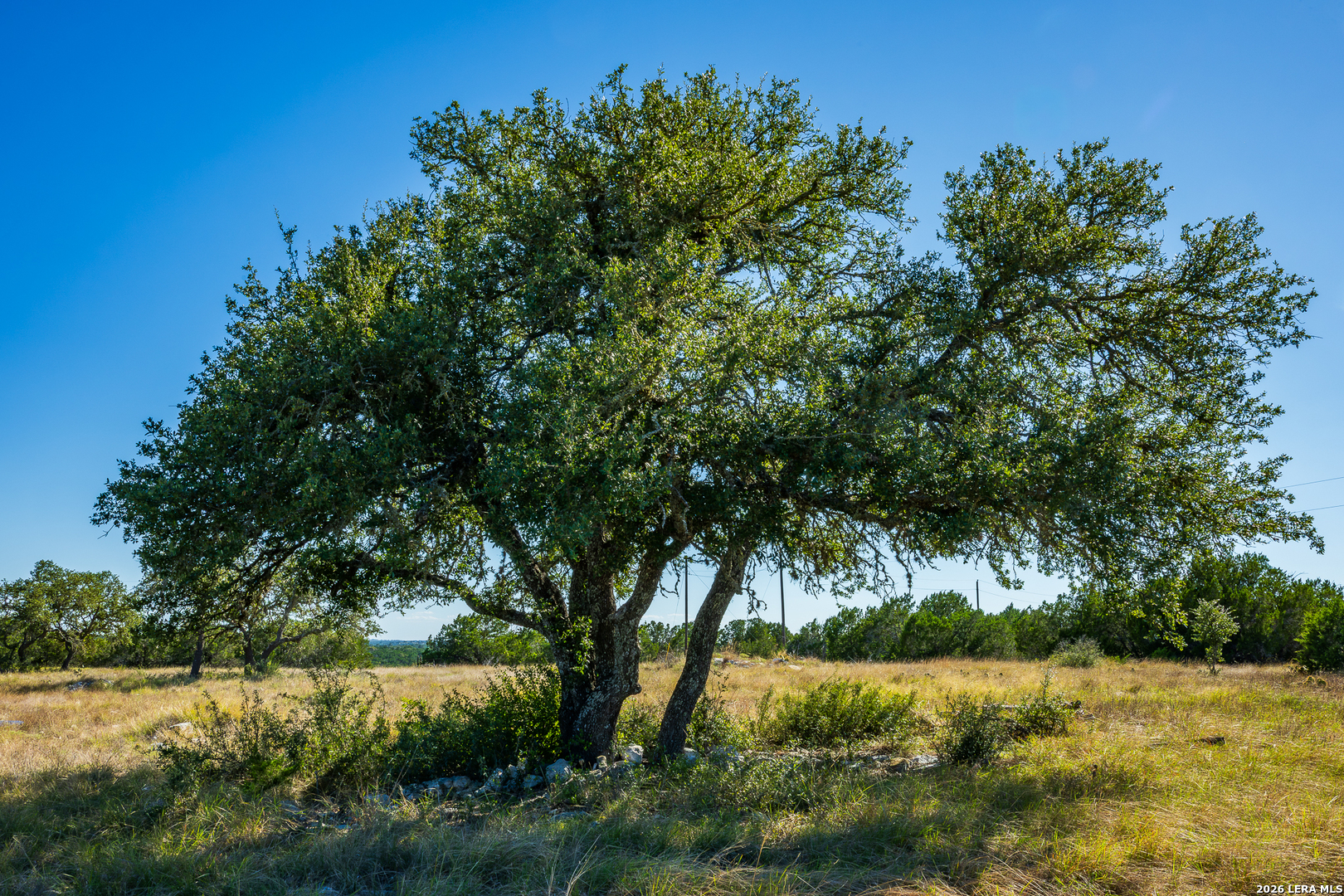 Blind Turkey Ranch- 913 GREENWOOD VALLEY RANCH RD