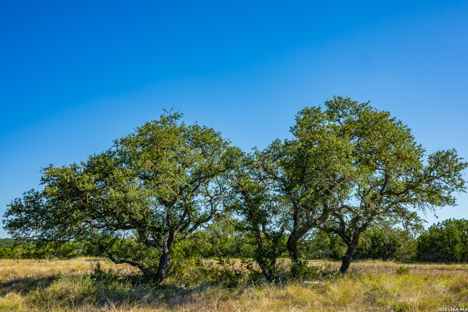 Blind Turkey Ranch- 913 GREENWOOD VALLEY RANCH RD