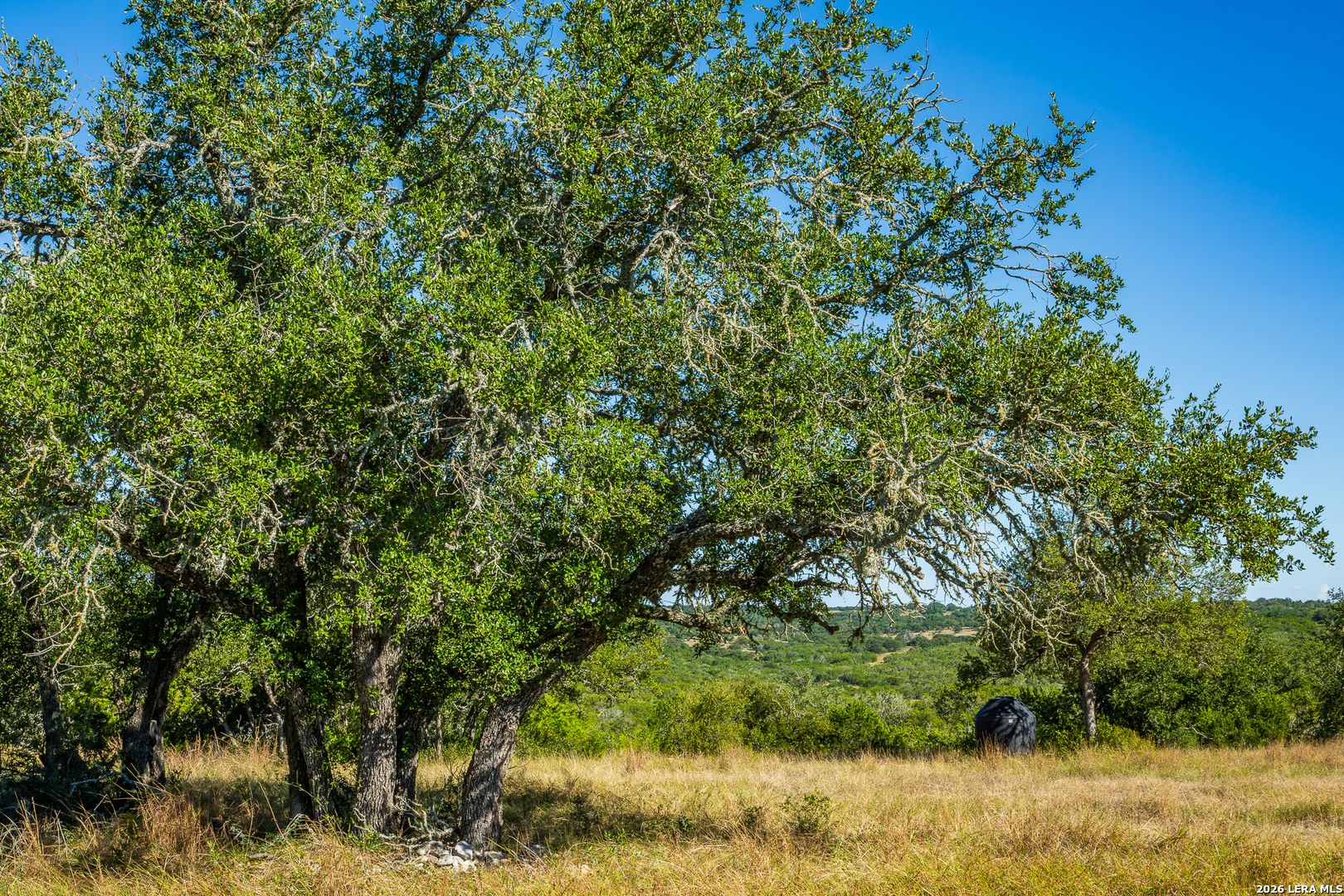 Blind Turkey Ranch- 913 GREENWOOD VALLEY RANCH RD