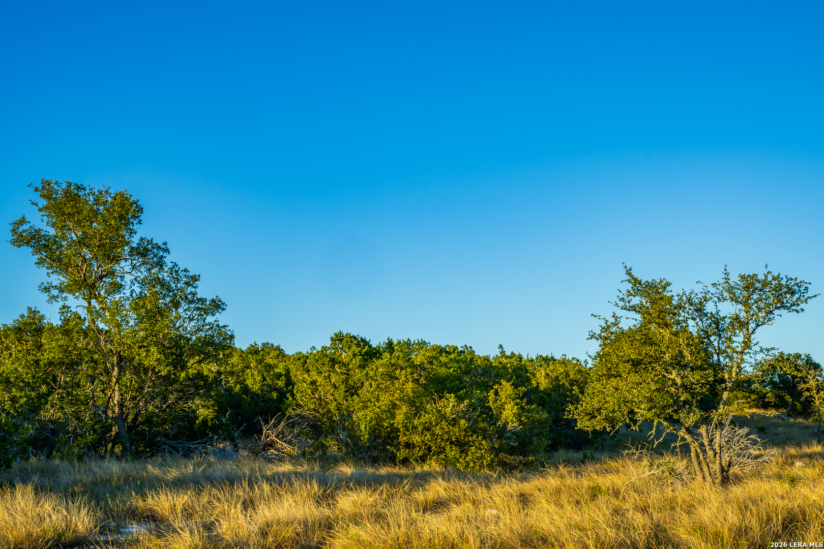 Blind Turkey Ranch- 913 GREENWOOD VALLEY RANCH RD