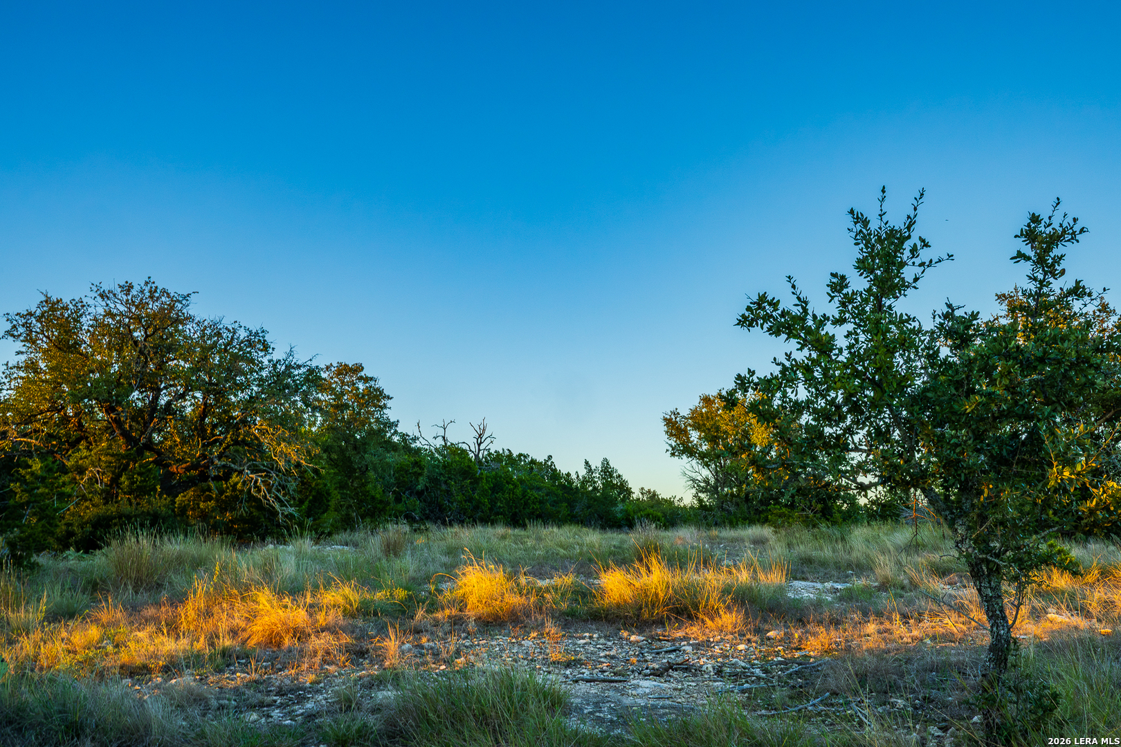 Blind Turkey Ranch- 913 GREENWOOD VALLEY RANCH RD