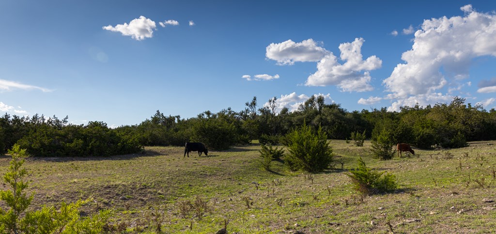 4444 Weinheimer Rd Gillespie County