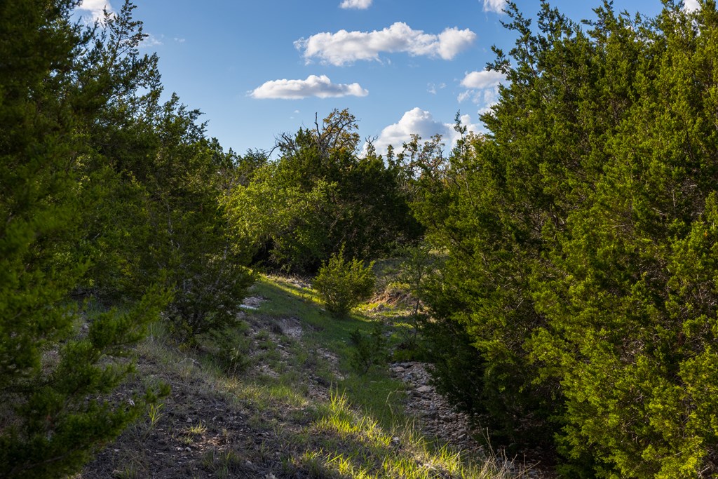 4444 Weinheimer Rd Gillespie County