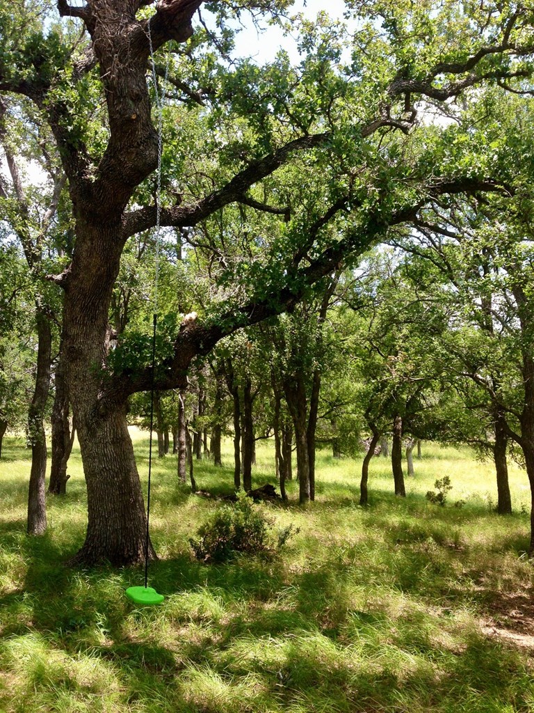 503 Hickory Creek Rd