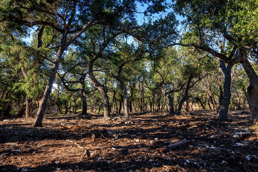 000 Ranch Rd 965