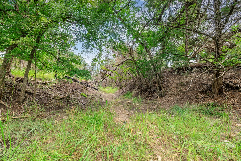 382 Country Creek Lane