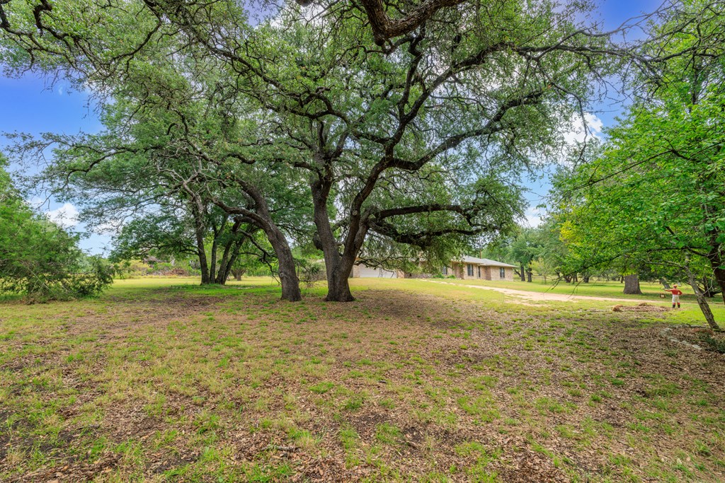 382 Country Creek Lane